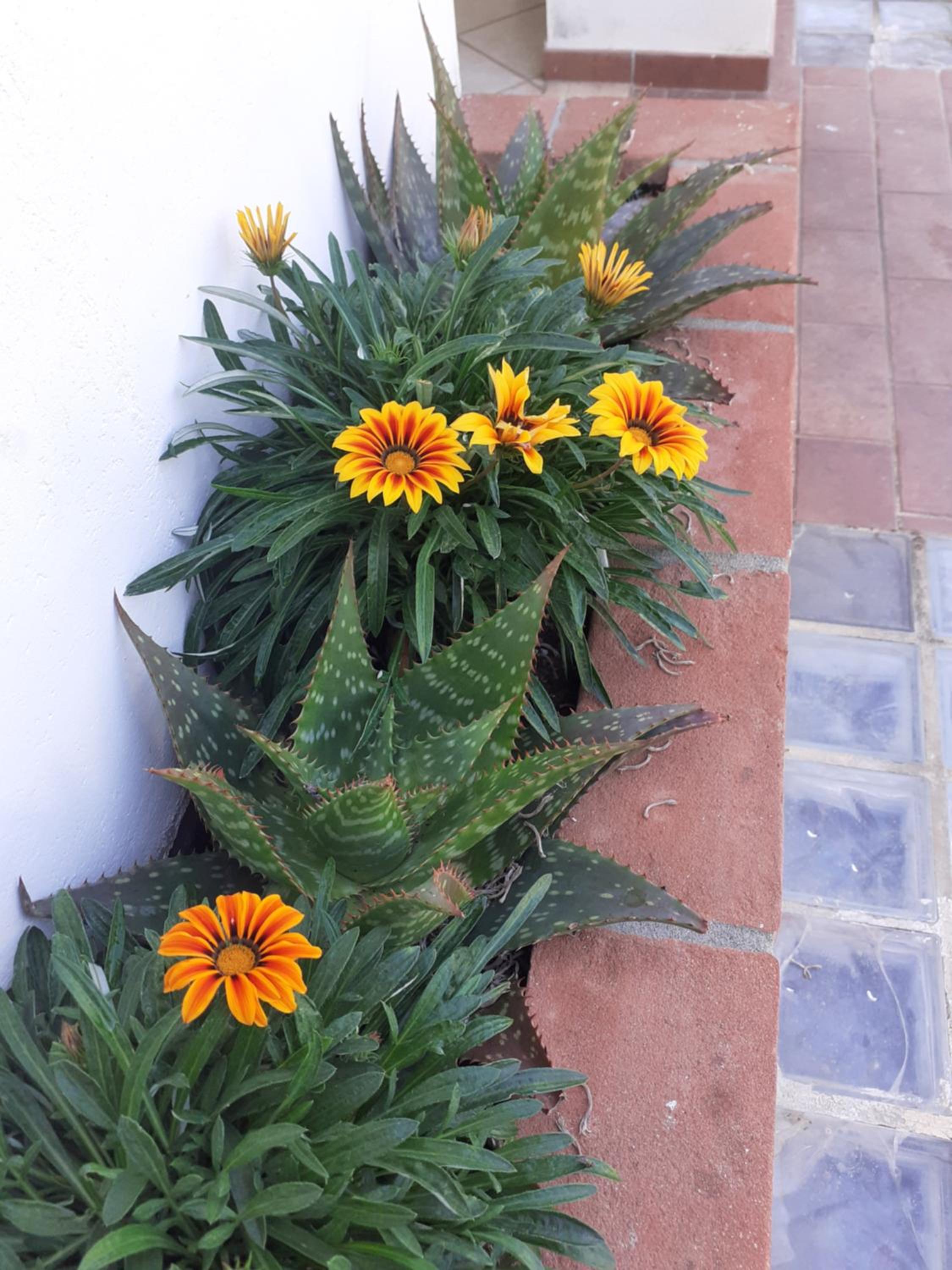 Rispescia Casa Vacanze Grosseto
