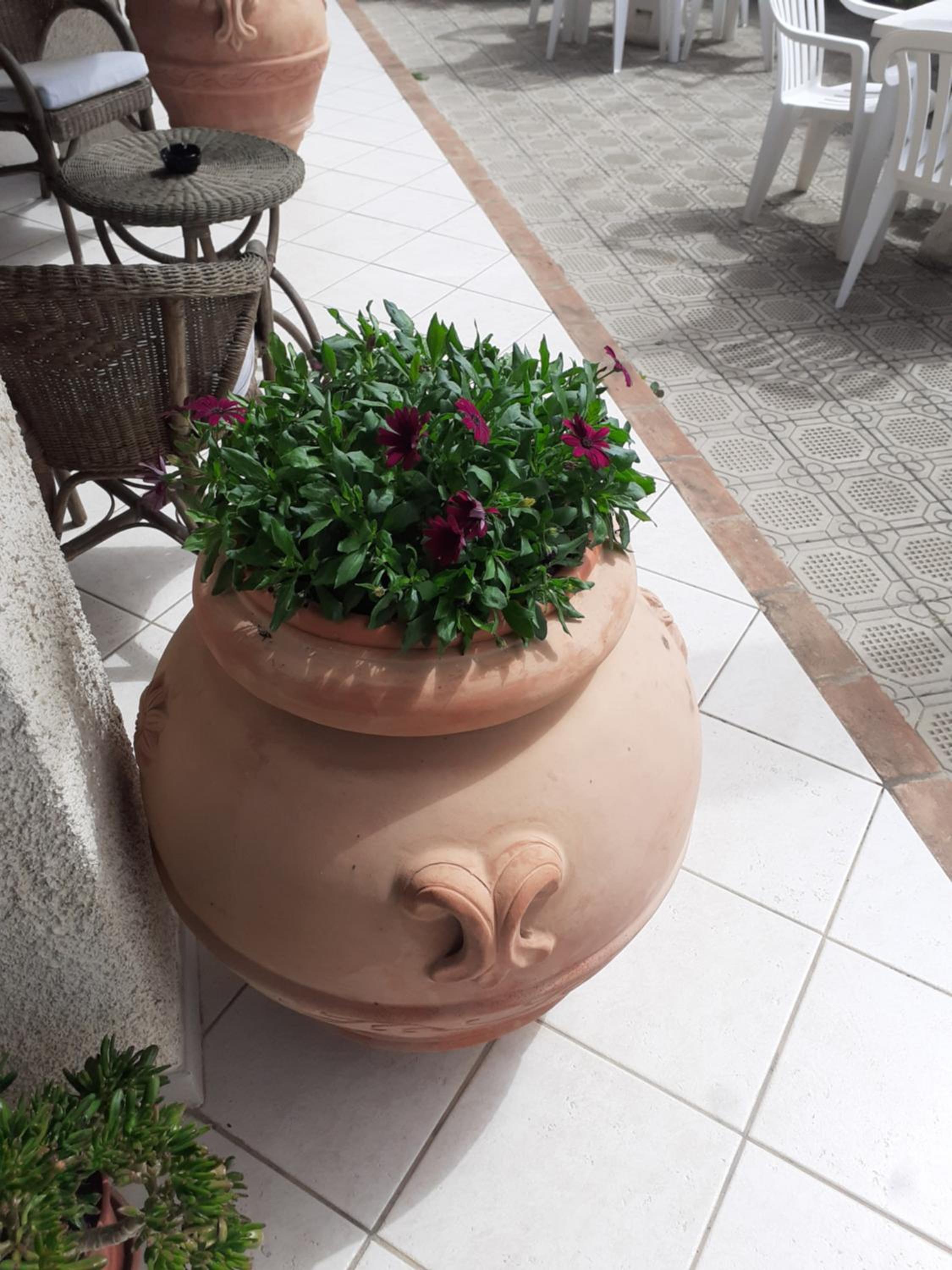 Rispescia Casa Vacanze Grosseto