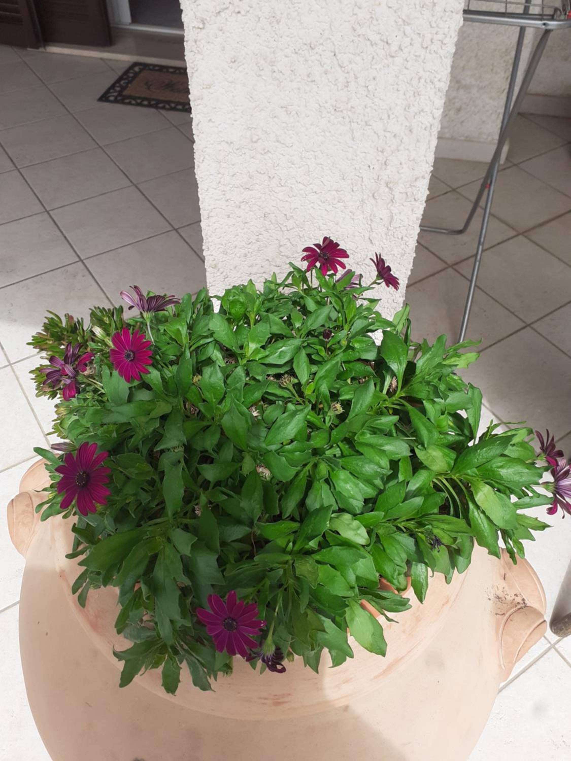 Rispescia Casa Vacanze Grosseto