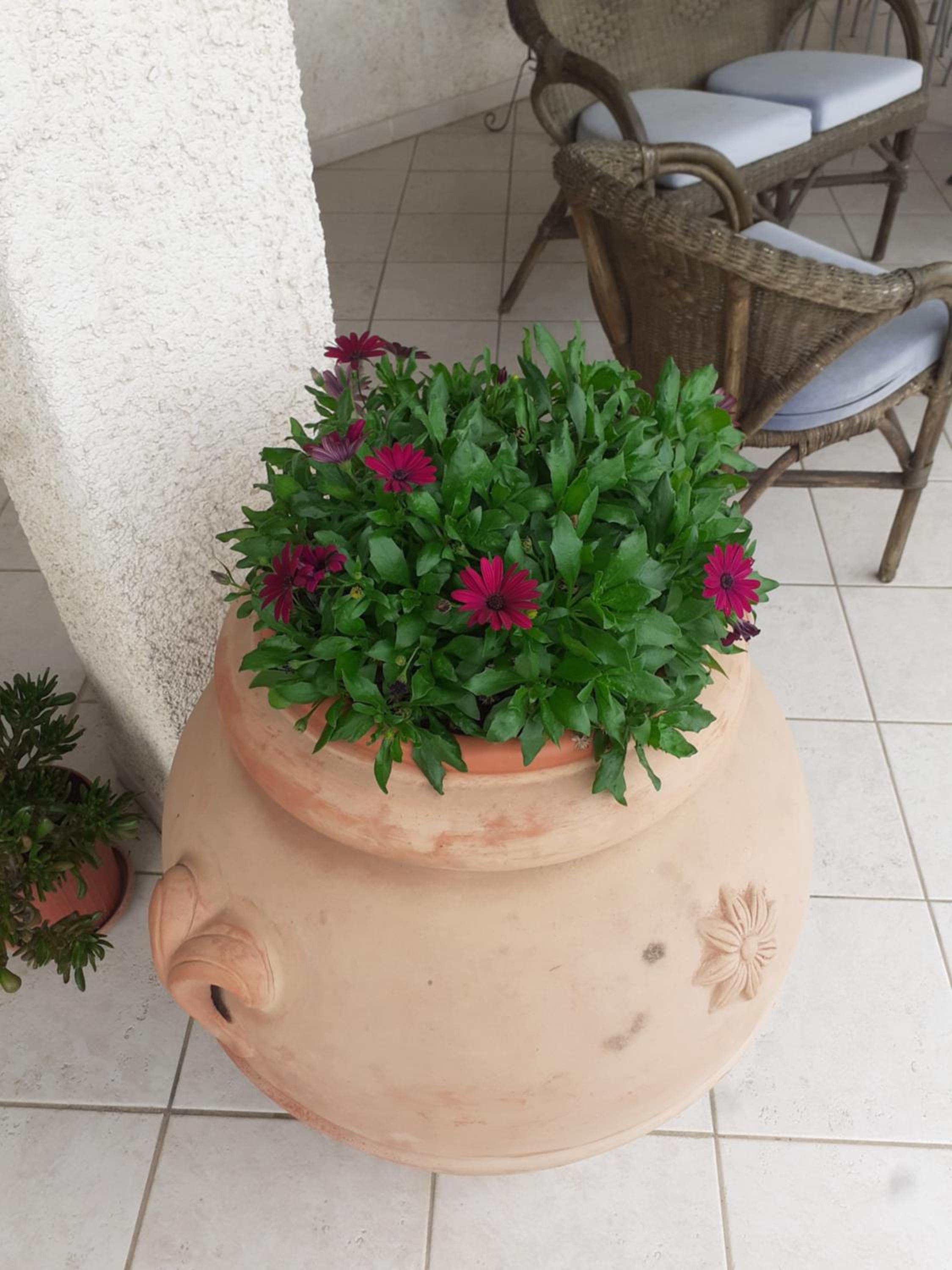 Rispescia Casa Vacanze Grosseto