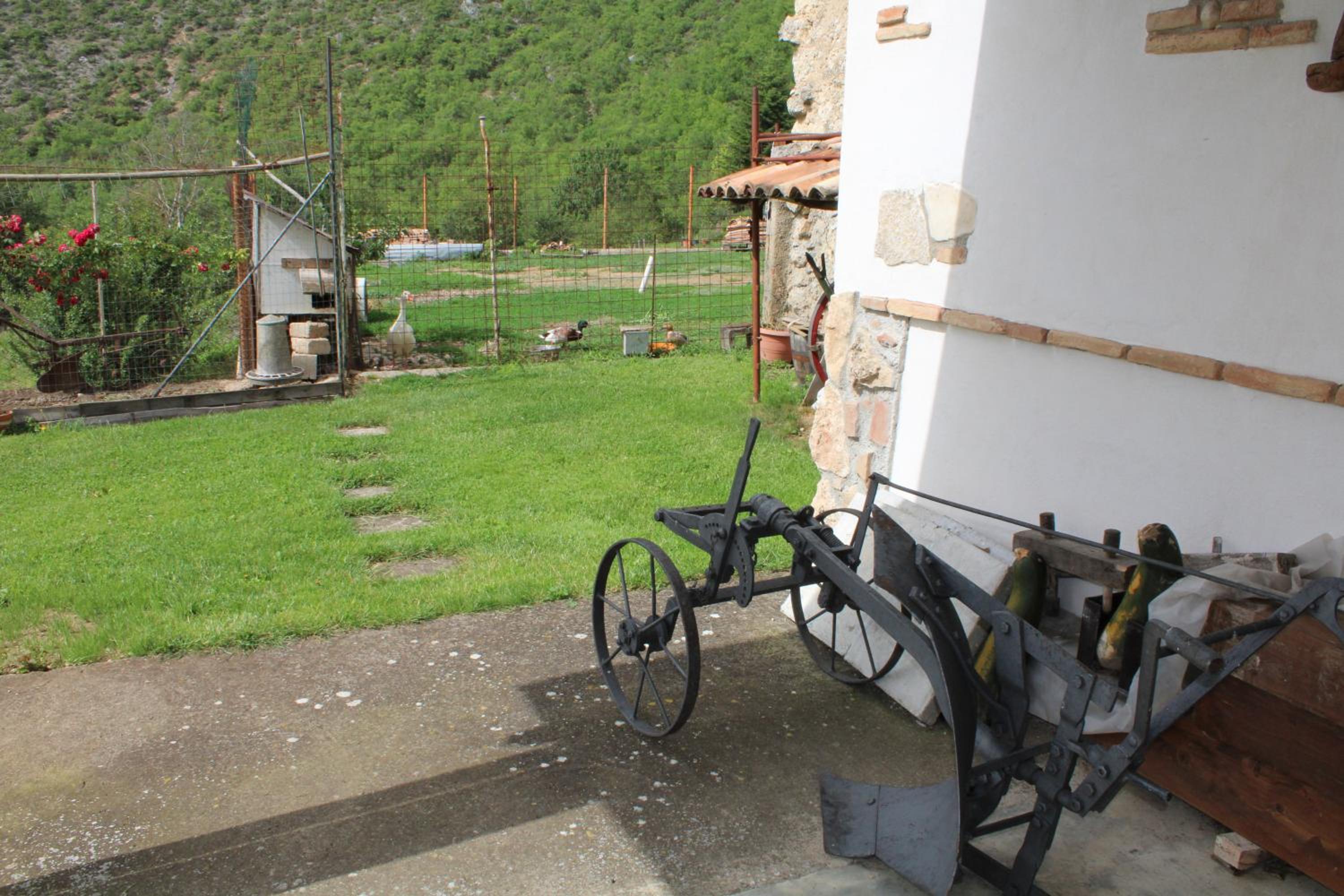 Photo 23