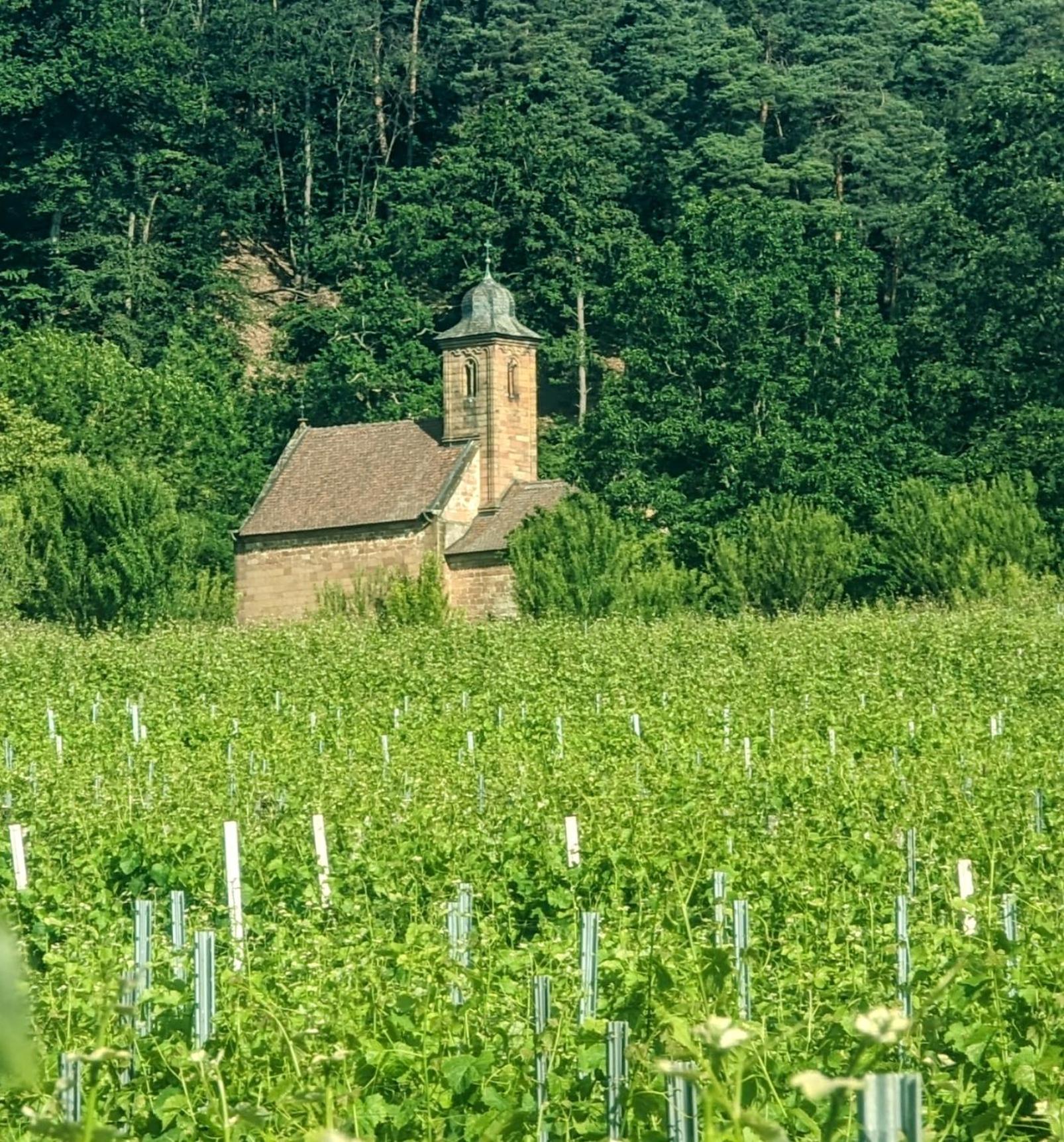 Ferienhaus Rustika