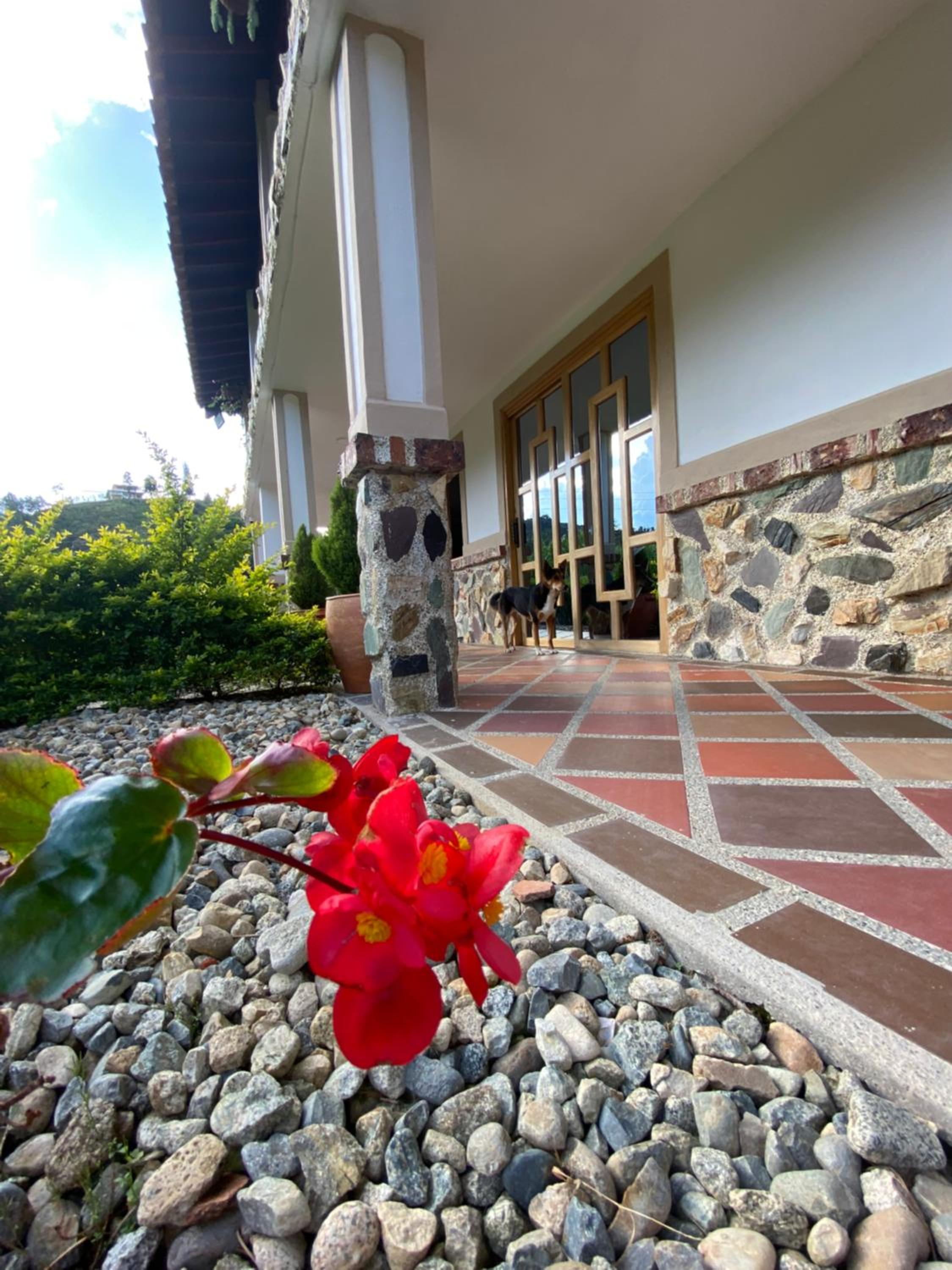Finca Curva de Paraíso