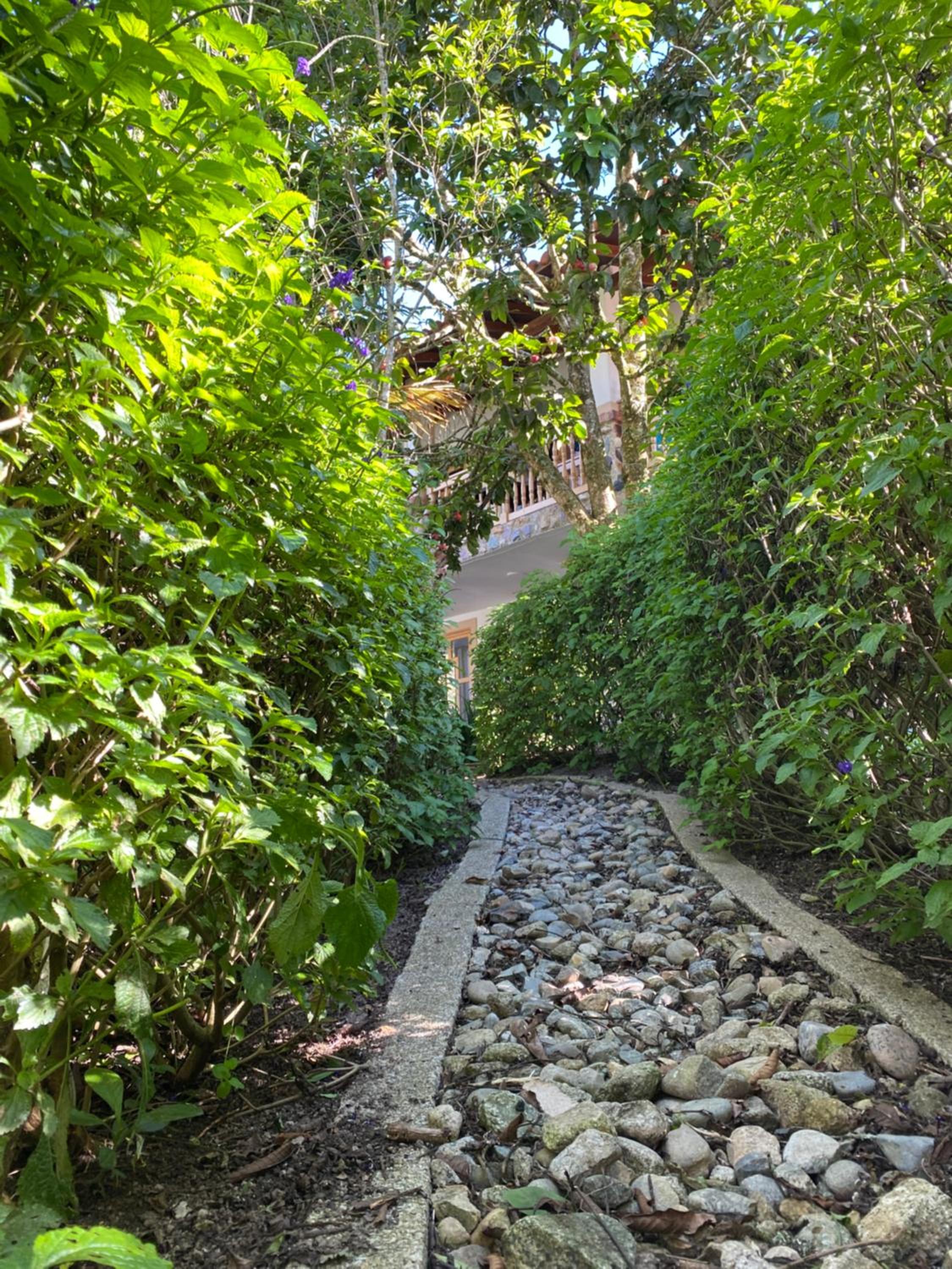 Finca Curva de Paraíso