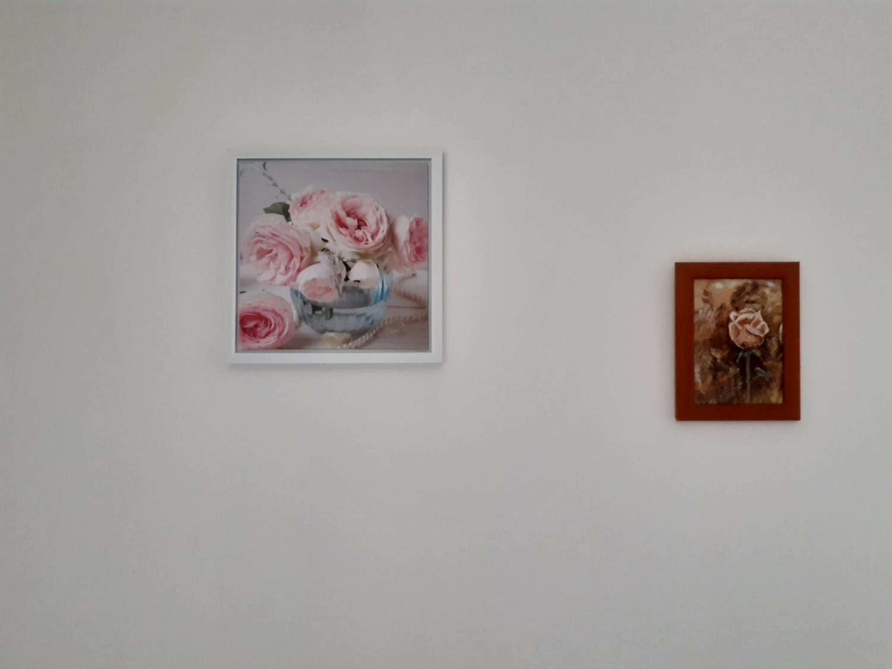 Mariza studio apartman view 4