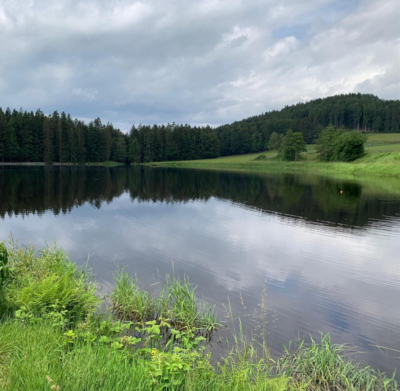 Bayerwaldnest