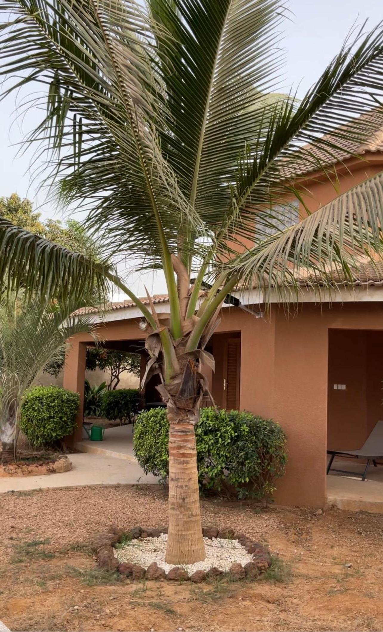 Villa des Agrumes Somone view 3