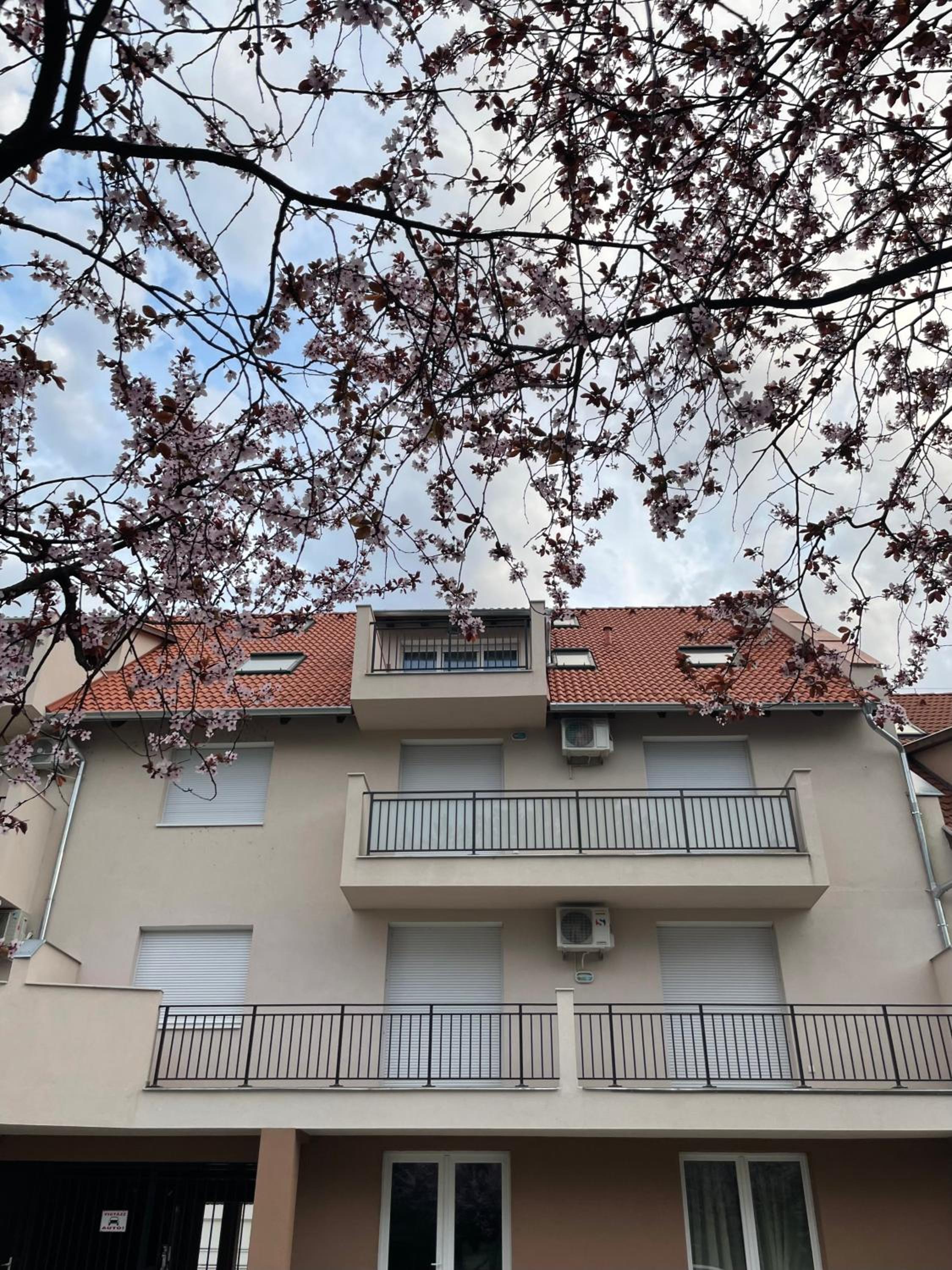 Belle Apartman