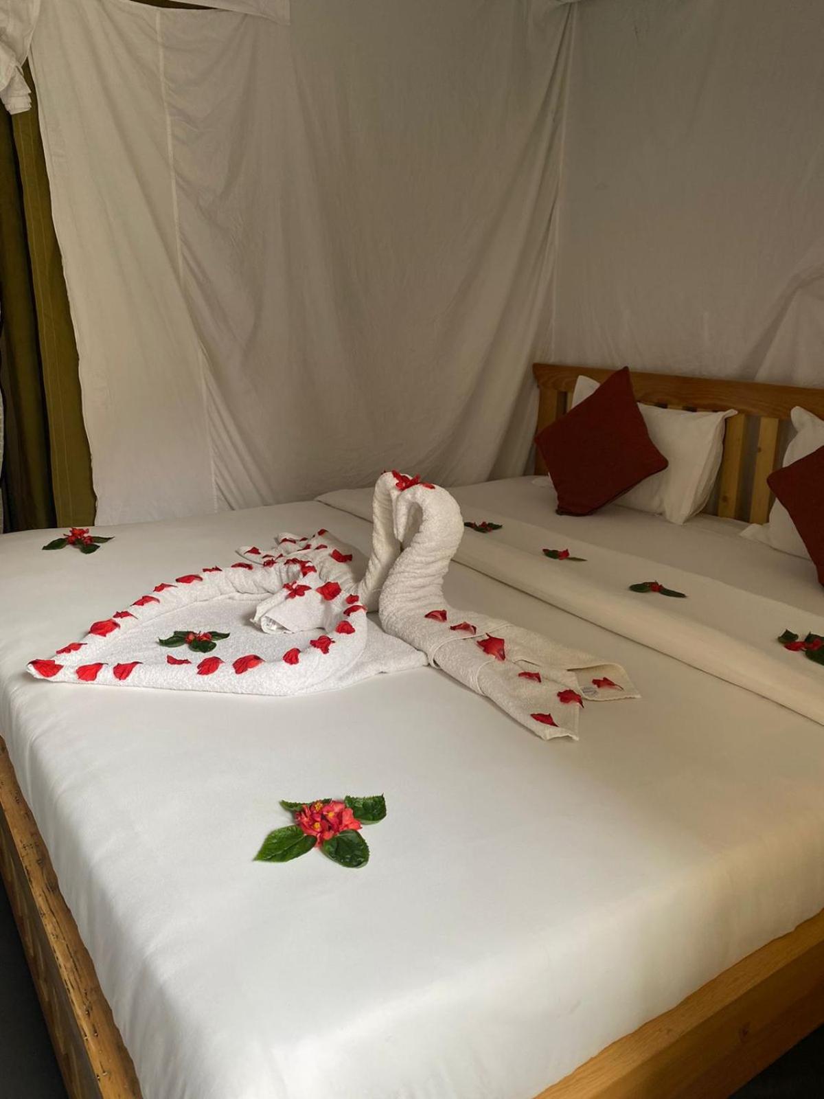 Kalash Parkaze Glamping Hostel view 4