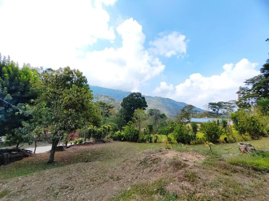 Hermosa Casa en Medio de la Naturaleza Monteverde
