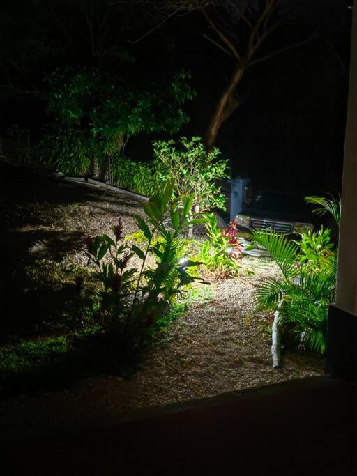 Hermosa Casa en Medio de la Naturaleza Monteverde