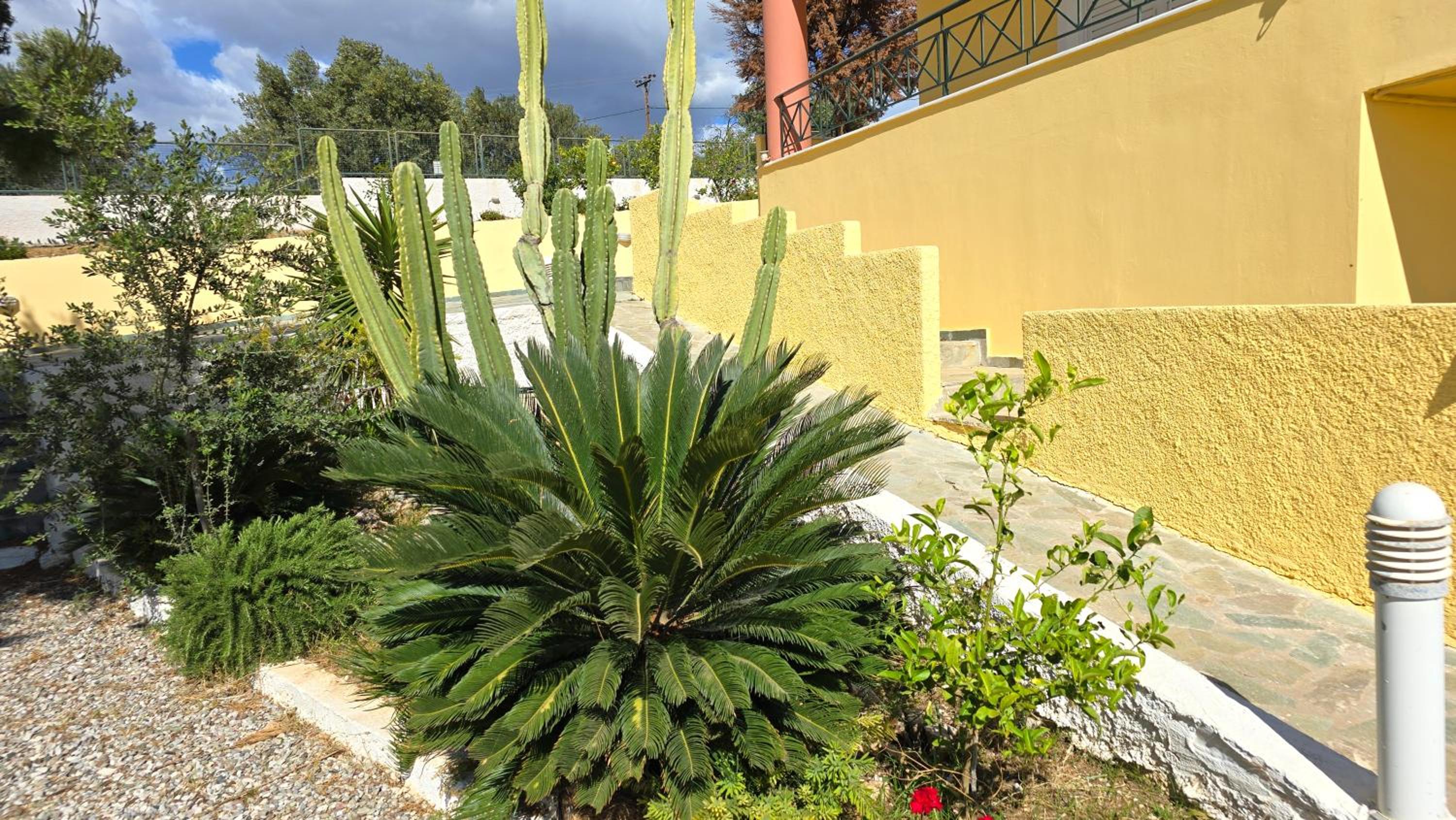 Villa Theonymfi