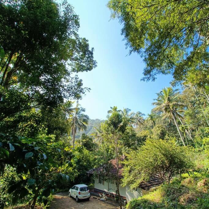 Immerse in Natures Beauty at Eden Thottam, Idukki