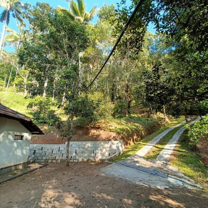Immerse in Natures Beauty at Eden Thottam, Idukki