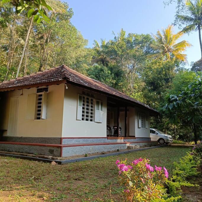 Immerse in Natures Beauty at Eden Thottam, Idukki