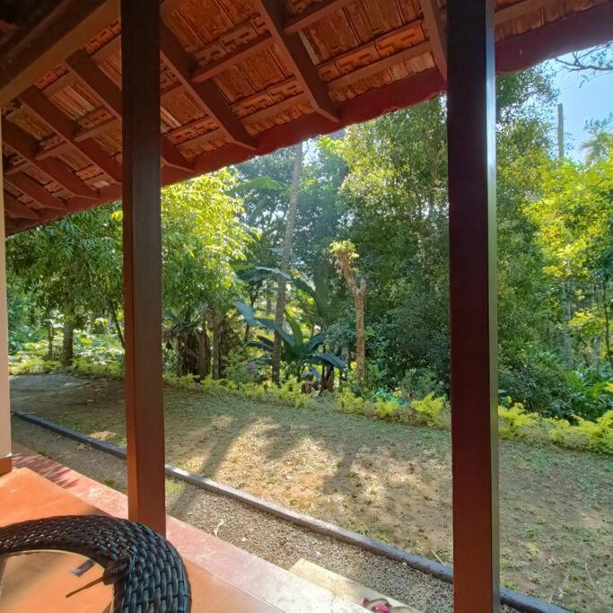 Immerse in Natures Beauty at Eden Thottam, Idukki