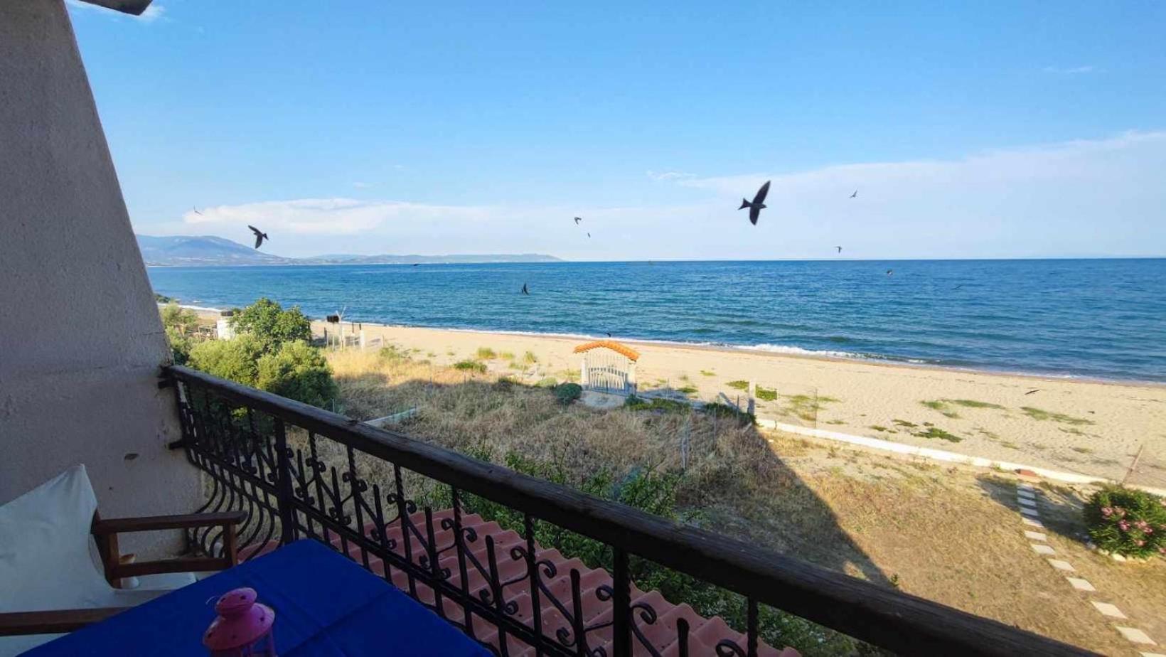 Maissonette Seaftont Georgia