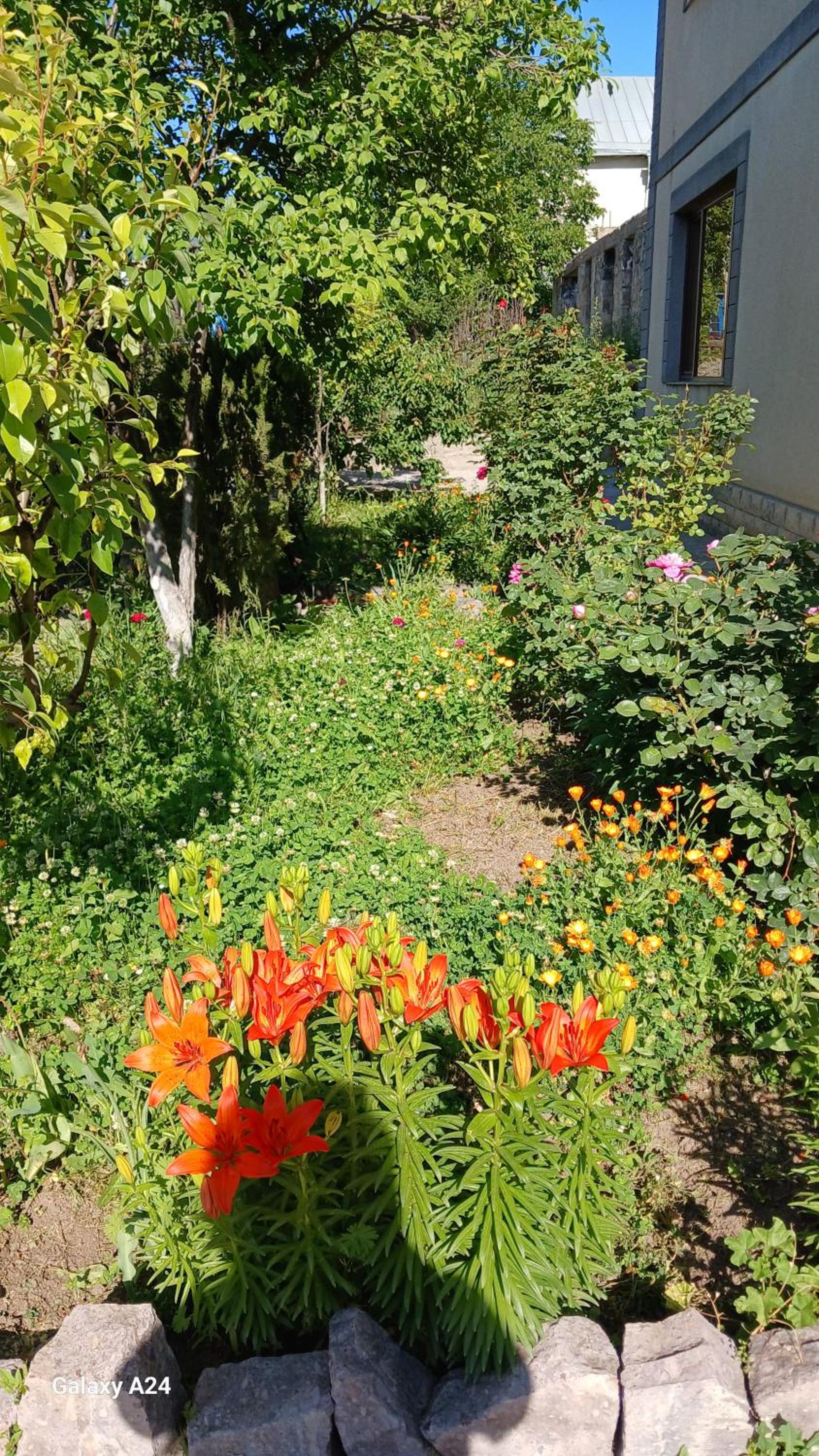 Green Dilijan B&B