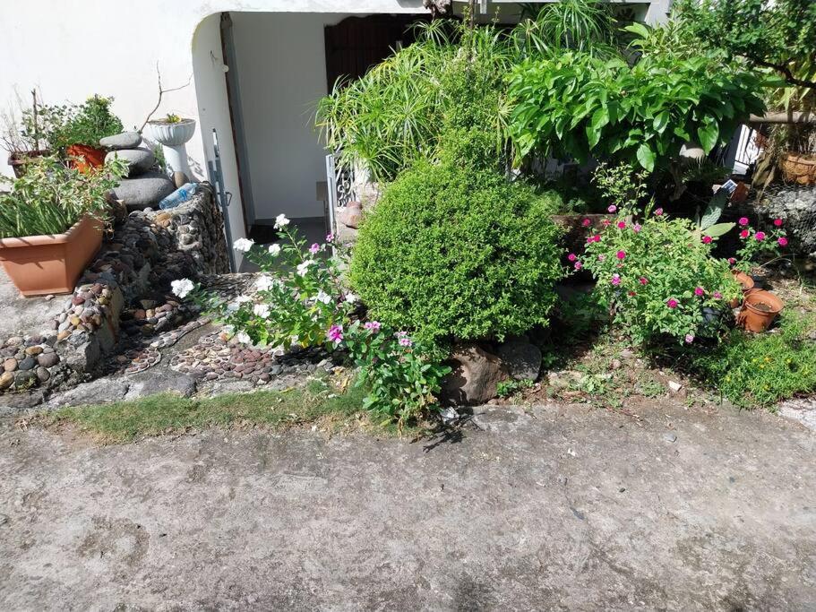 Vieux habitants Appartement avec vue sur jardin