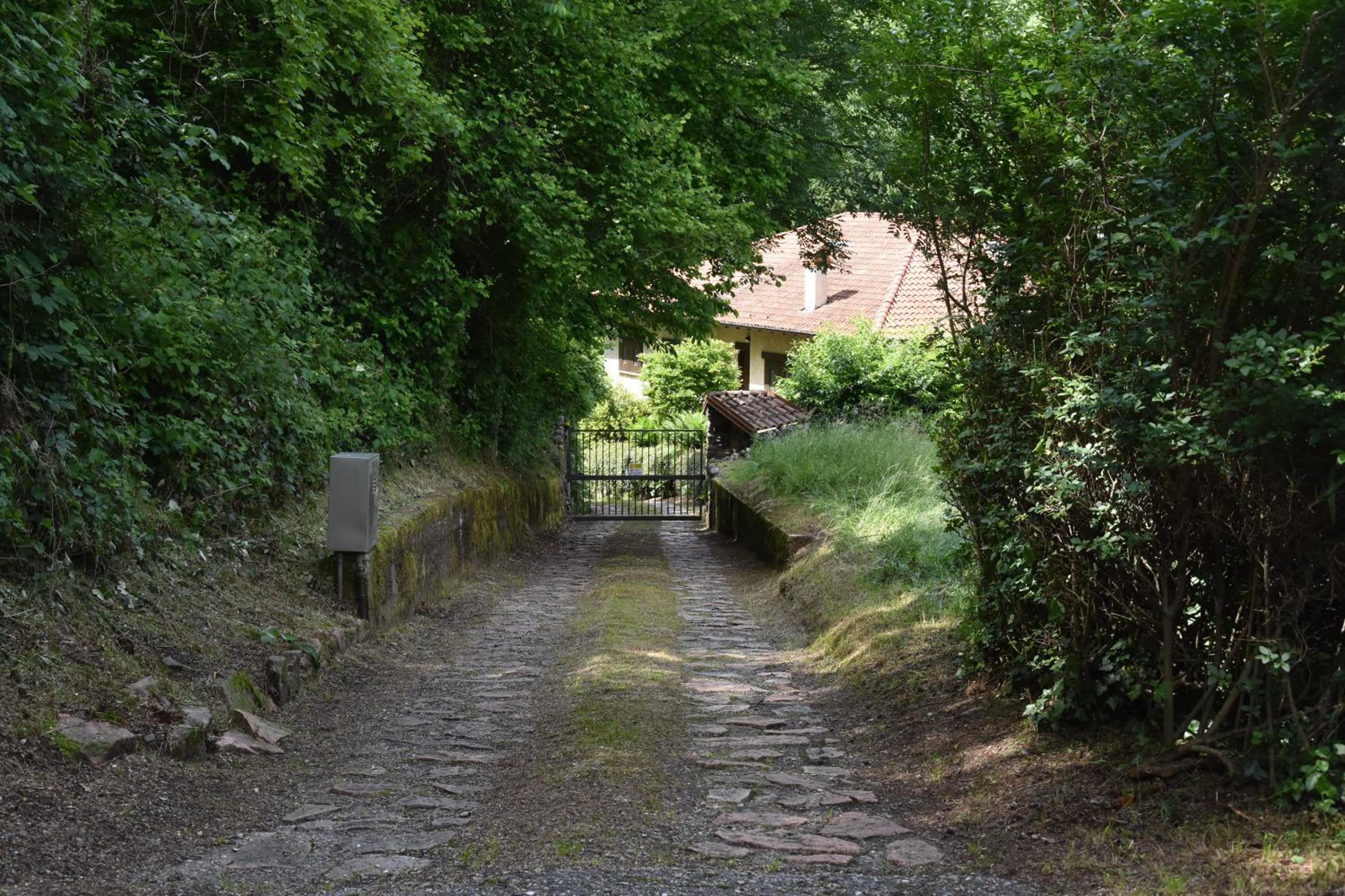 Photo 32