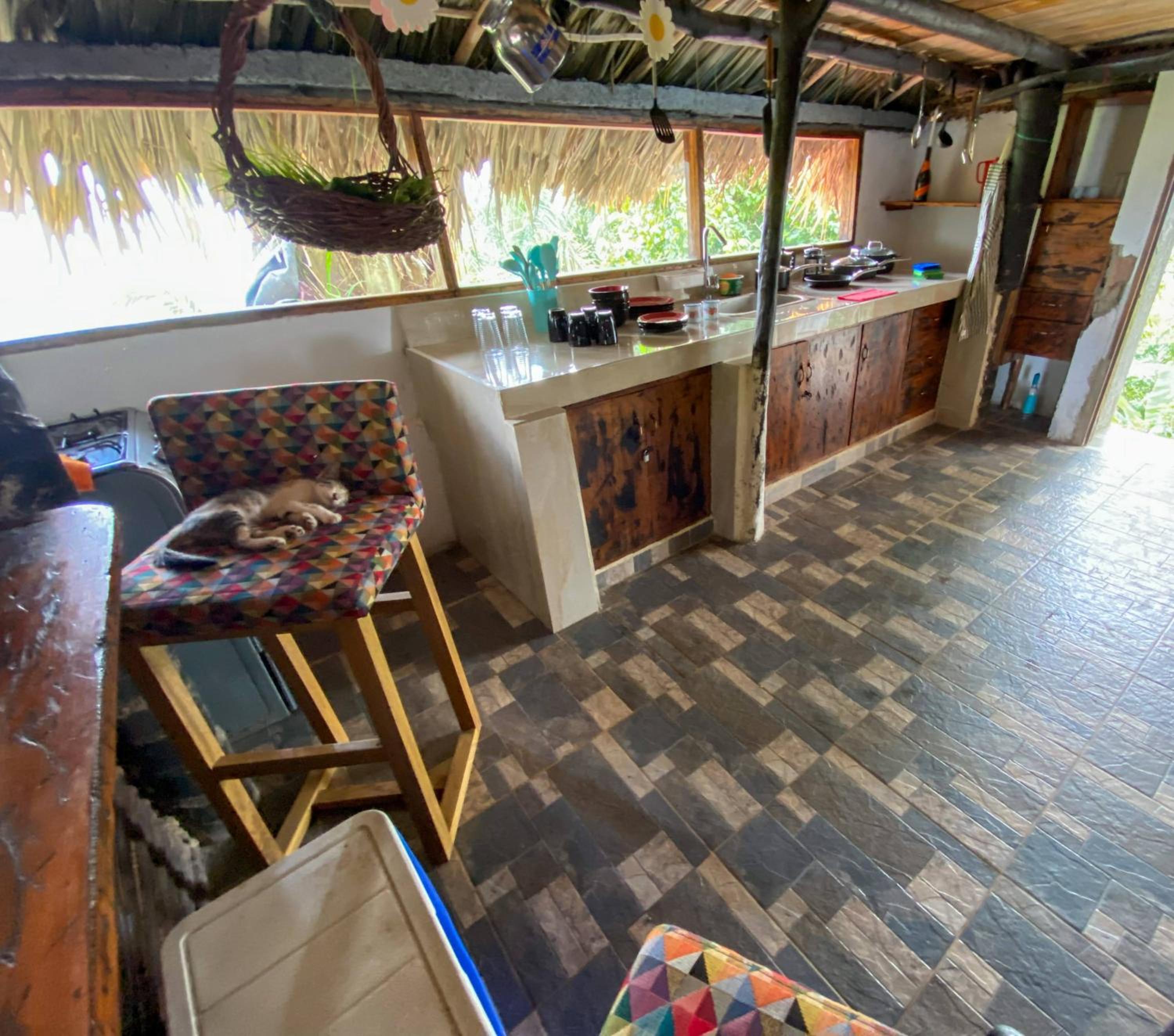 Finca Anicca - Cabaña, Camping, Hamaca - Farmstay