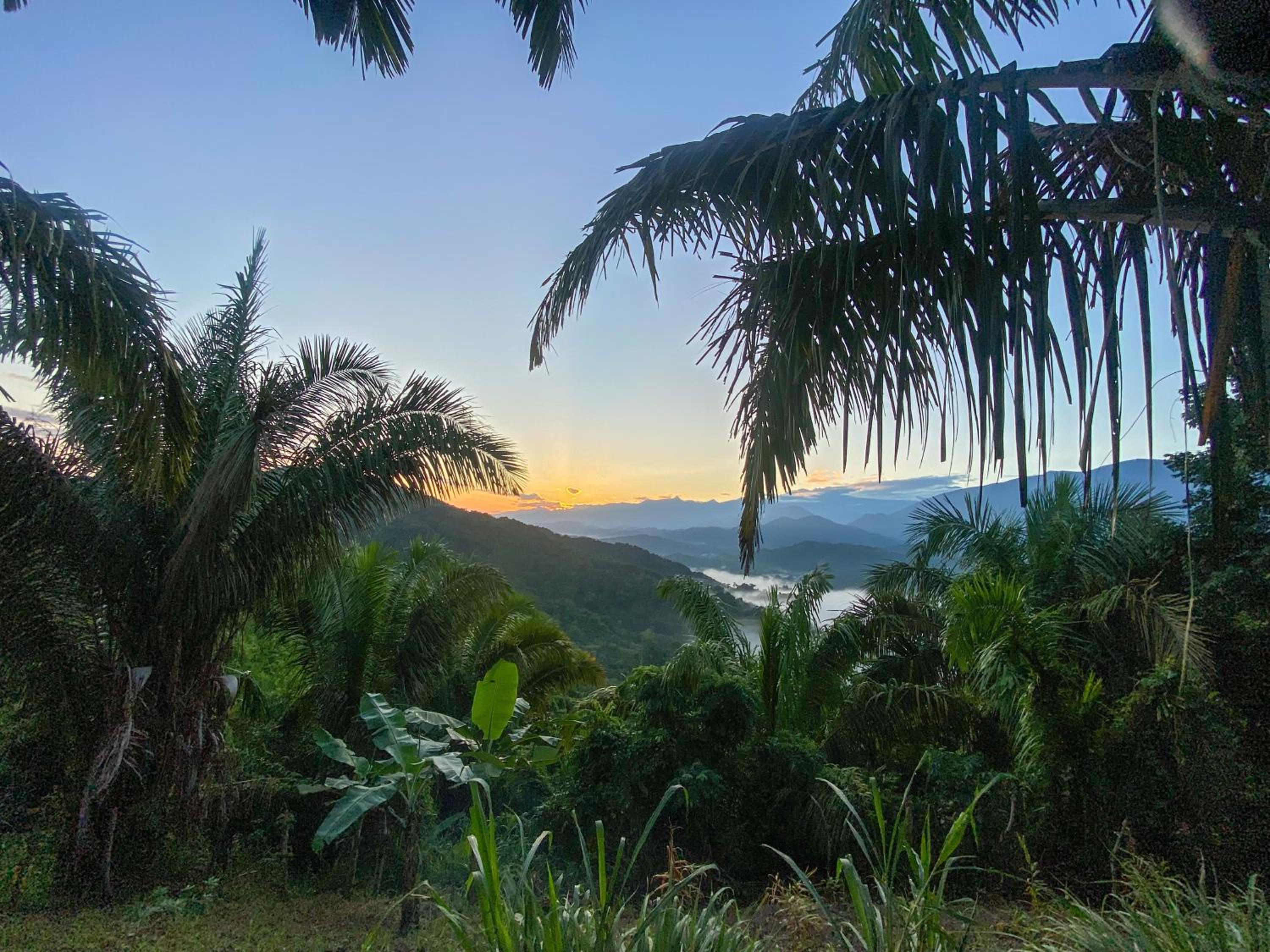 Finca Anicca - Cabaña, Camping, Hamaca - Farmstay
