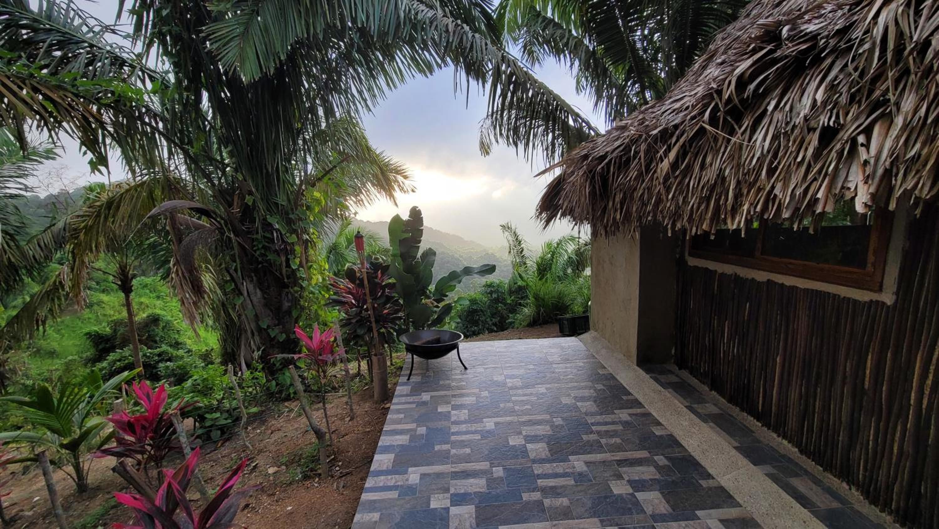 Finca Anicca - Cabaña, Camping, Hamaca - Farmstay