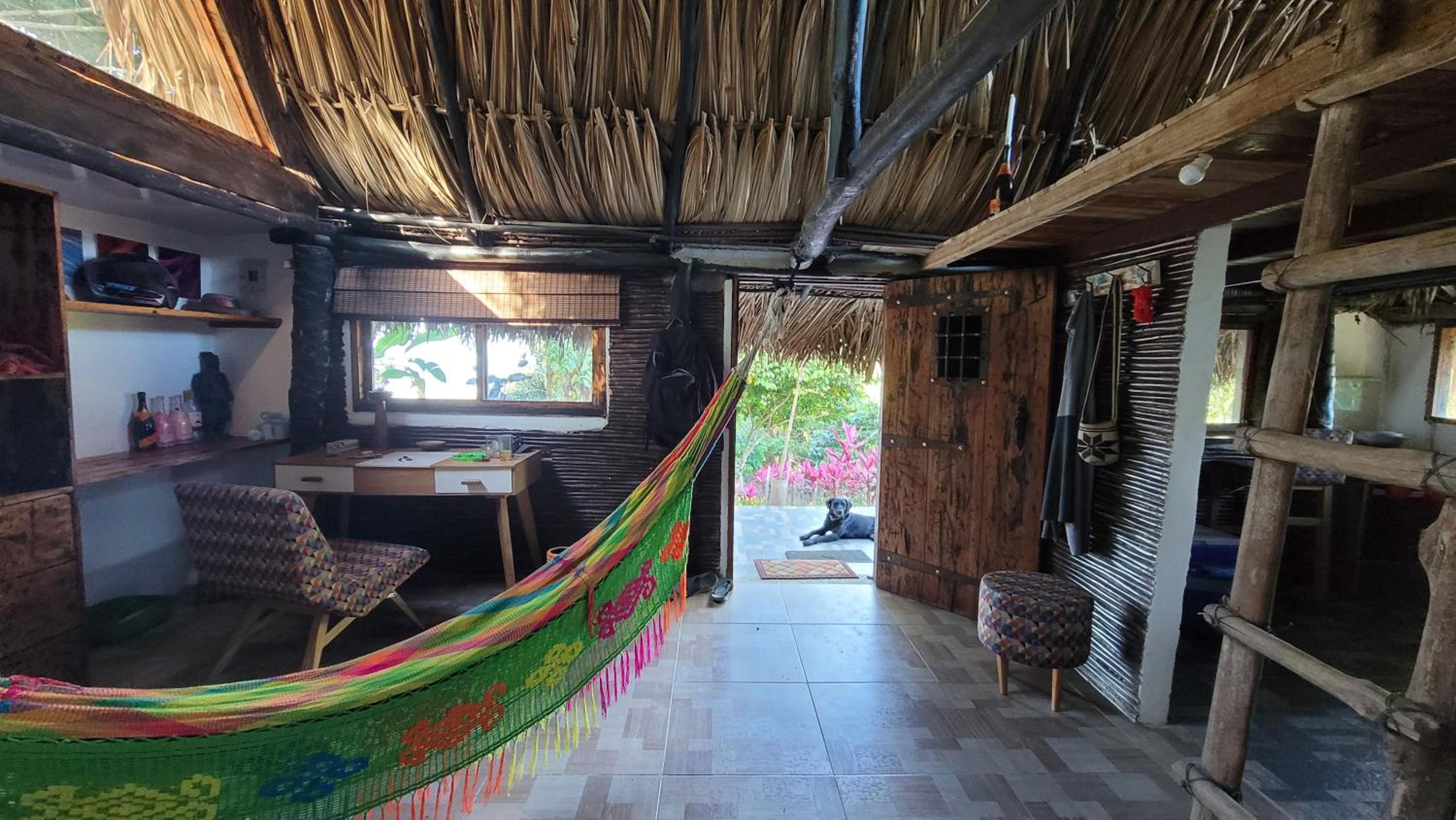 Finca Anicca - Cabaña, Camping, Hamaca - Farmstay