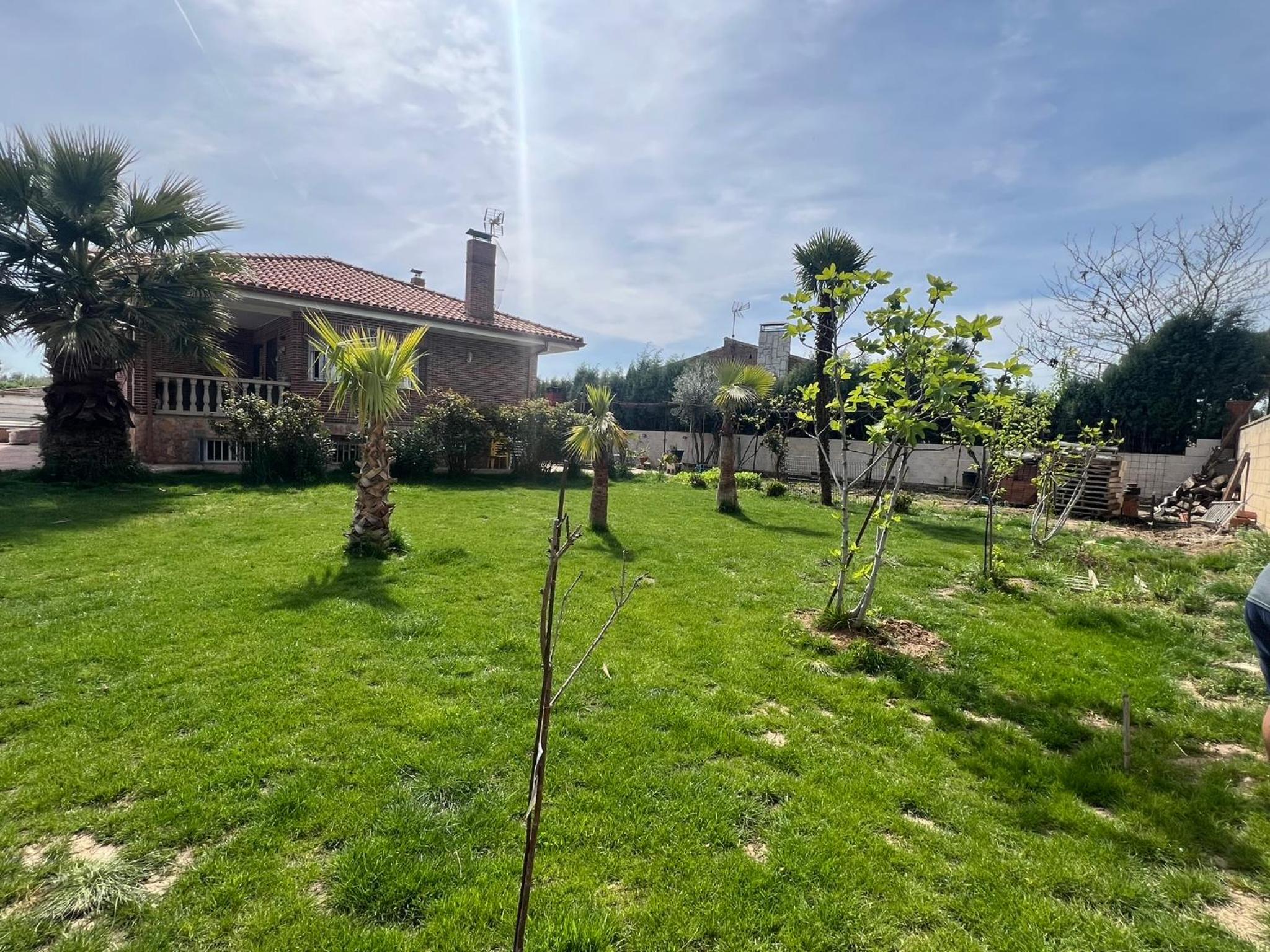 Villa palmeras