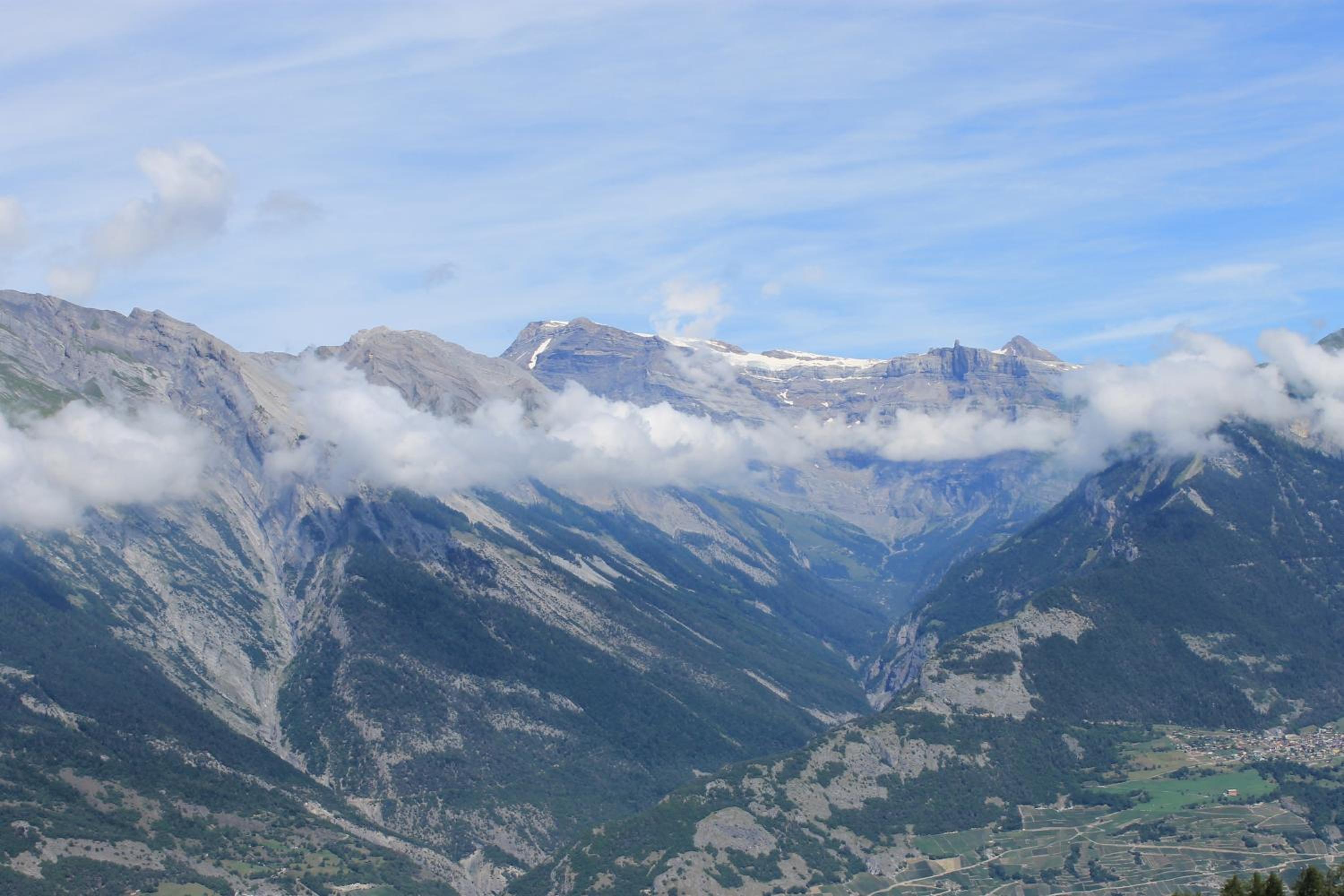 Photo 31