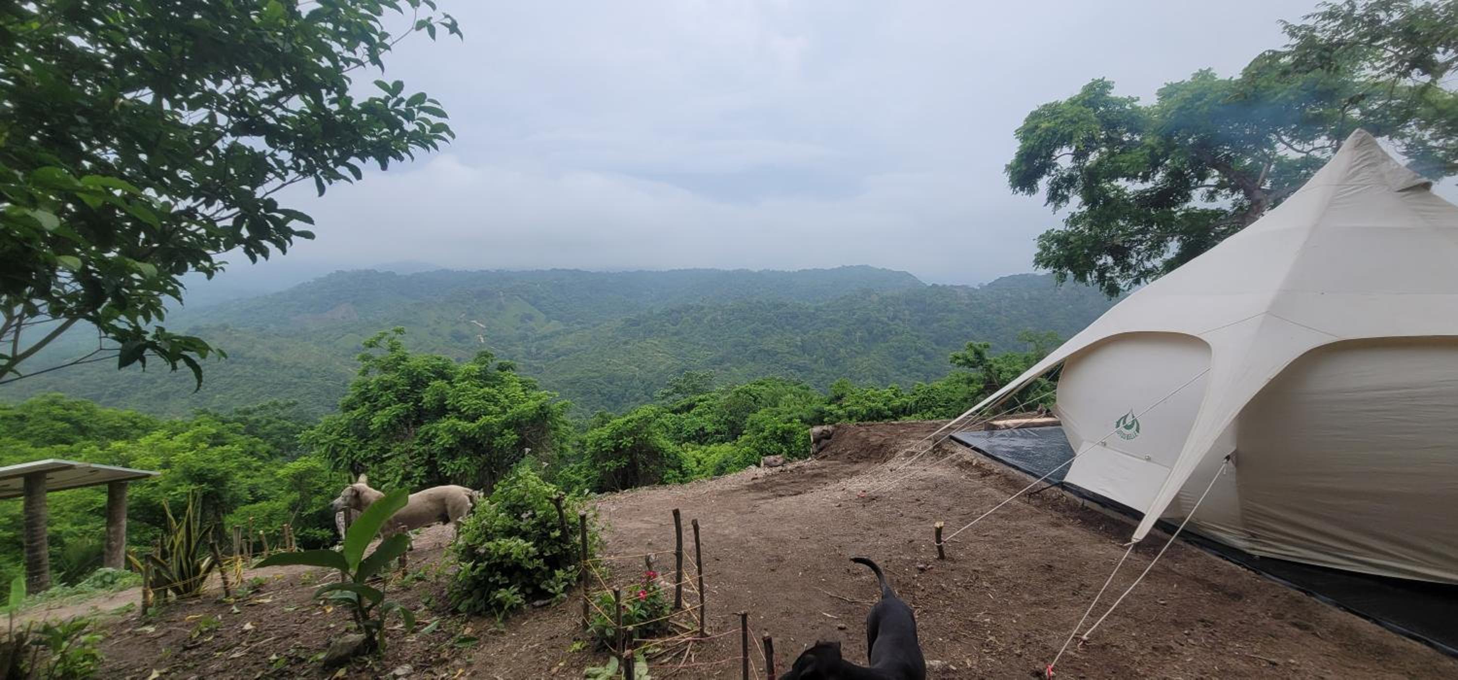 Finca Anicca - Cabaña, Camping, Hamaca - Farmstay