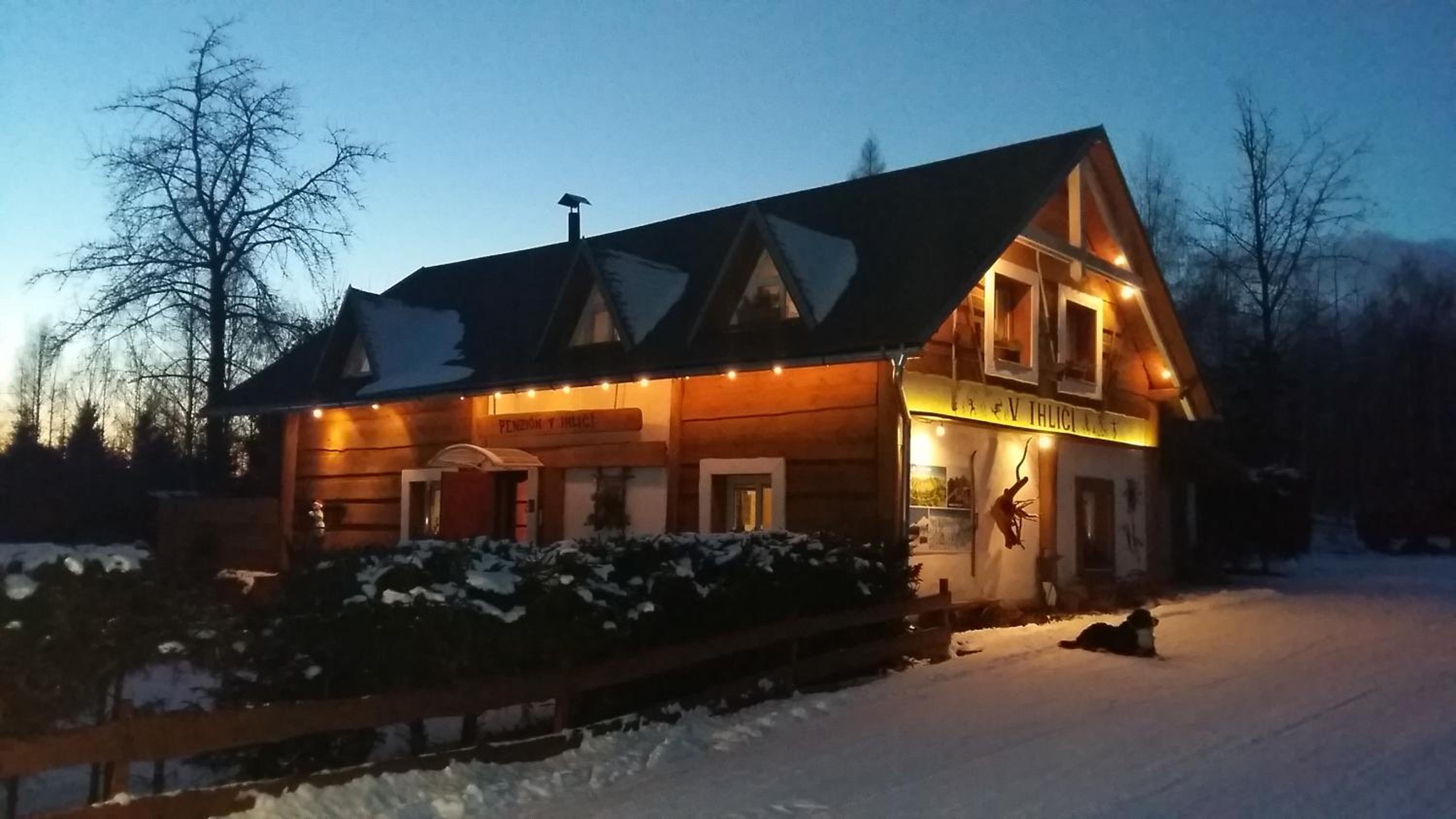 V ihličí