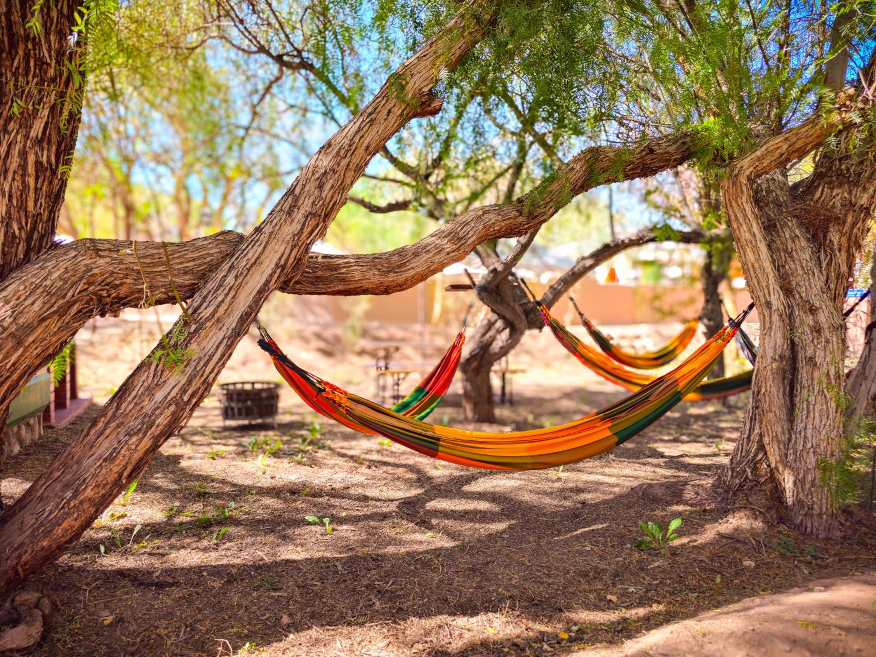 Lodge Ancar Atacama