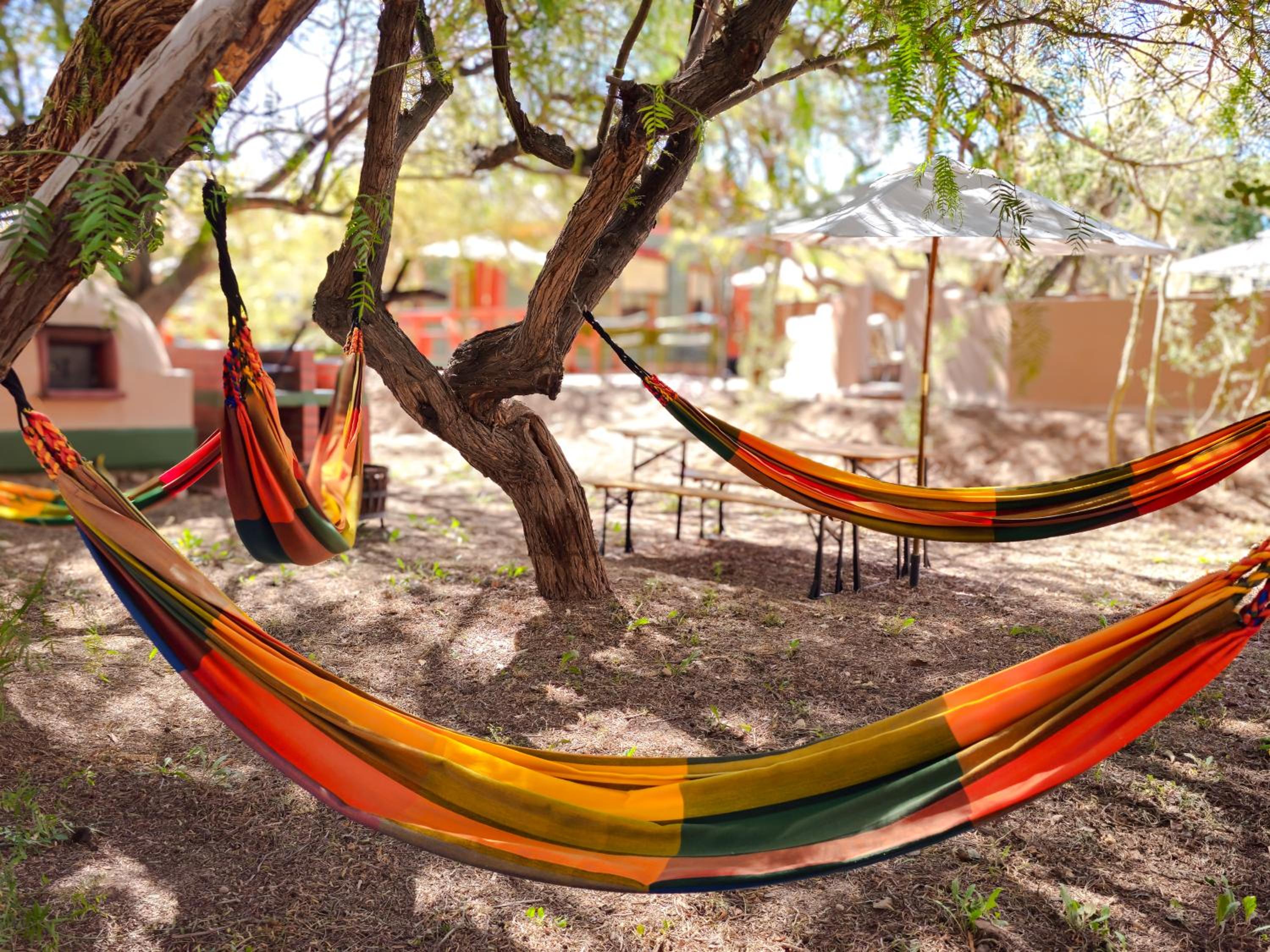 Lodge Ancar Atacama