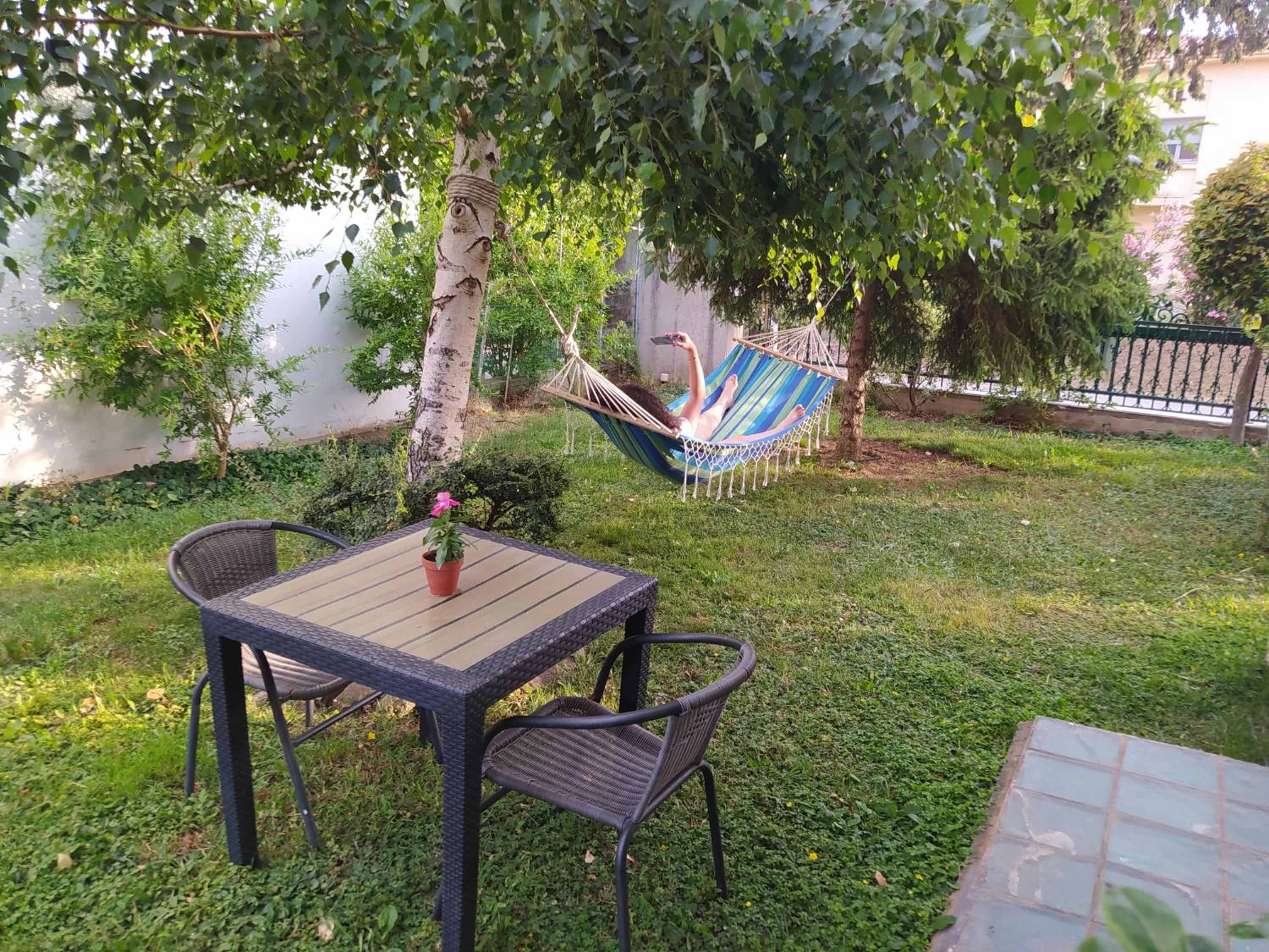 Cactus Oasis photo 5