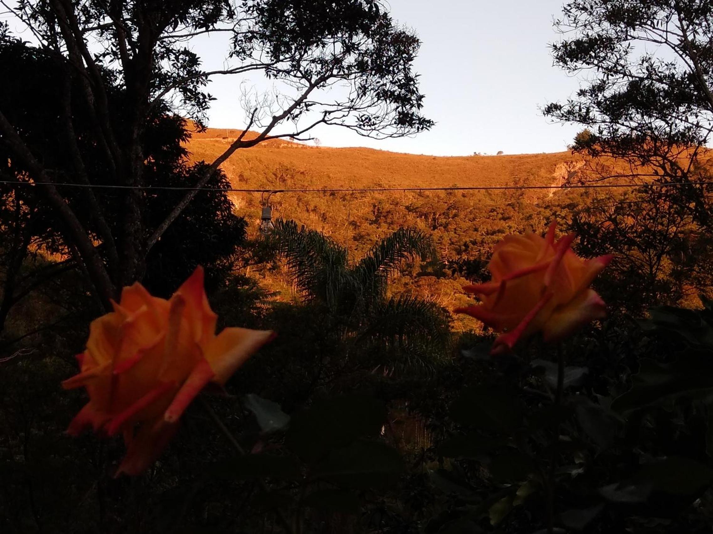 Chalé na floresta com frigobar