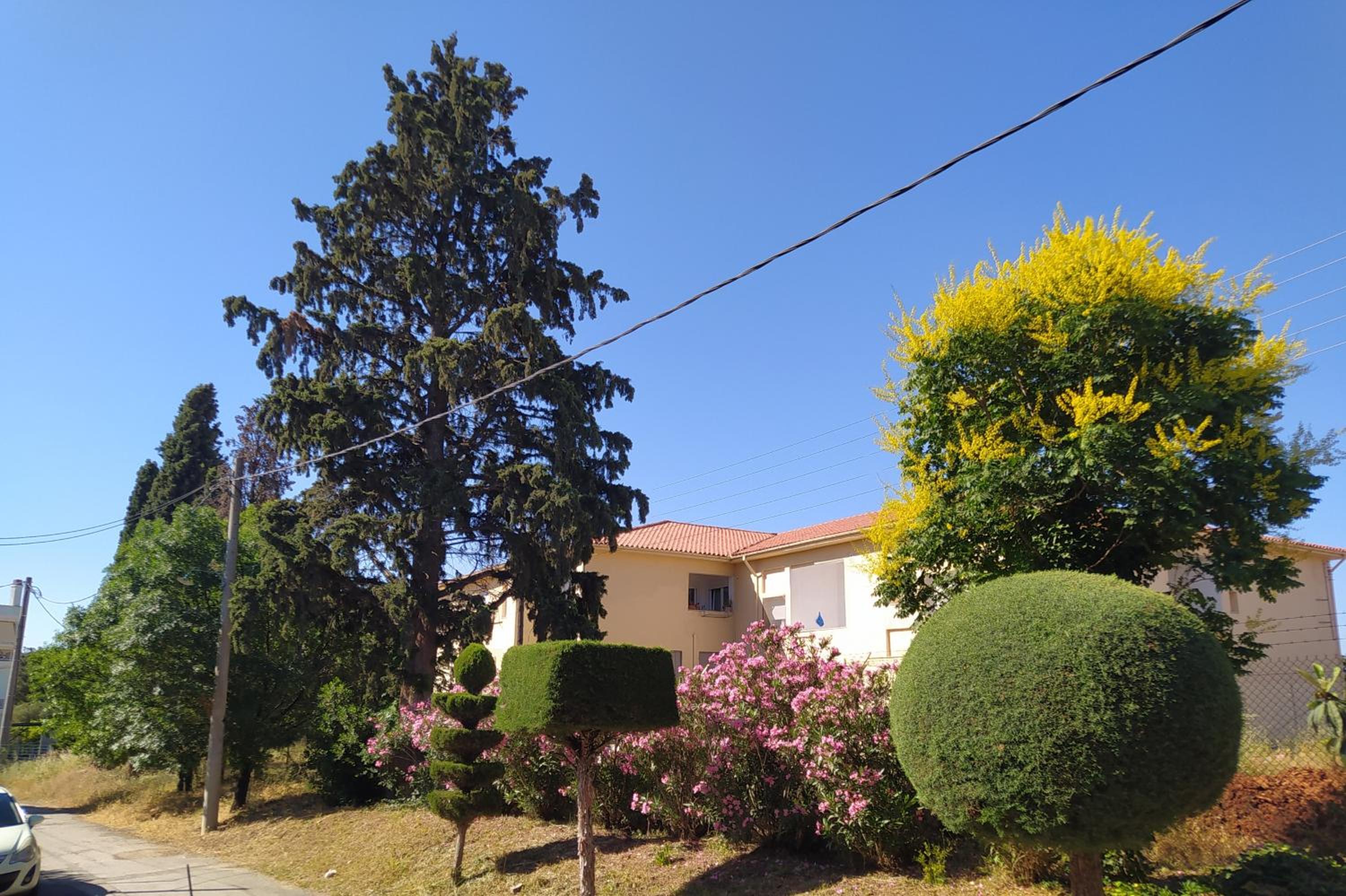 Cactus Oasis photo 3