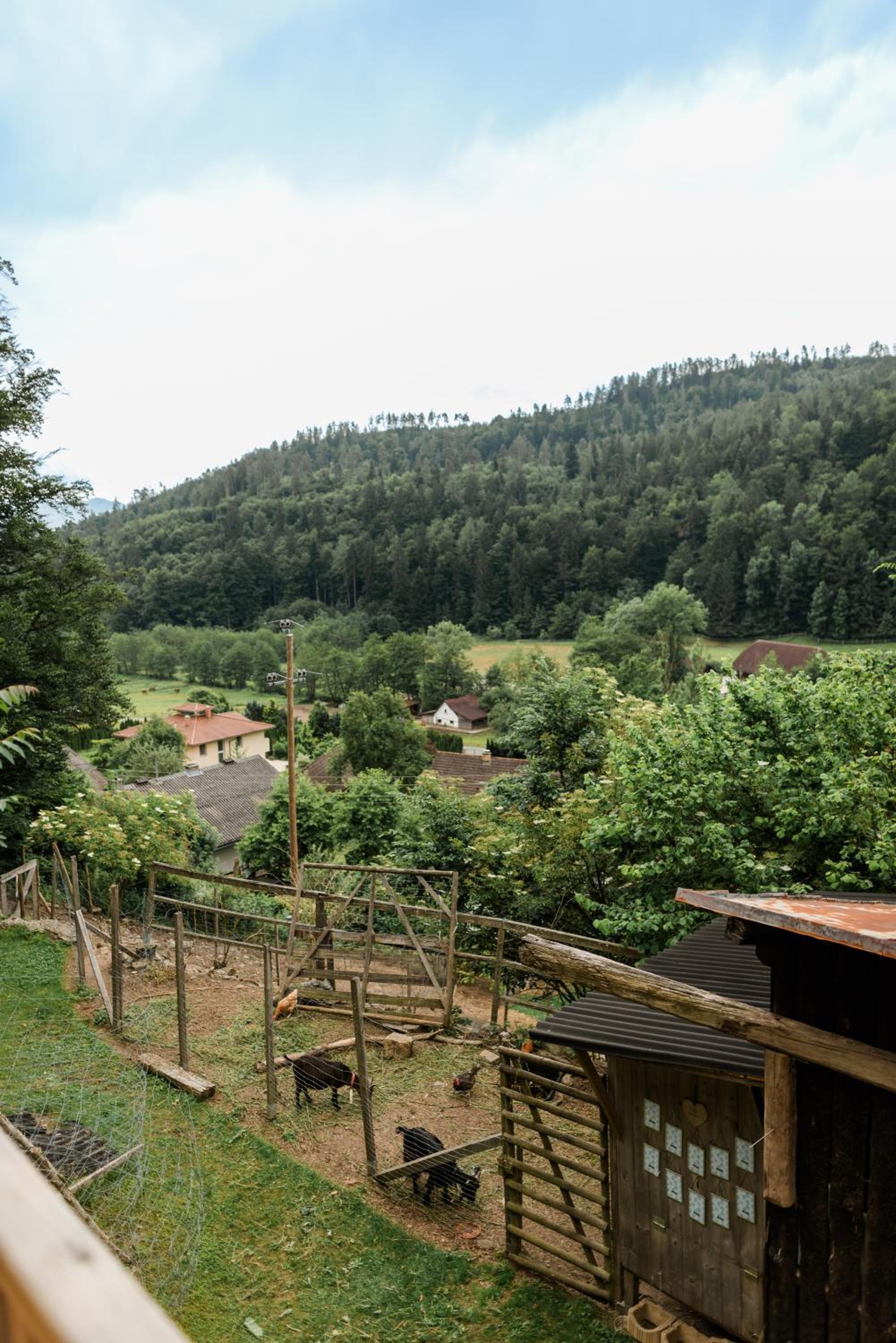 Fernblick