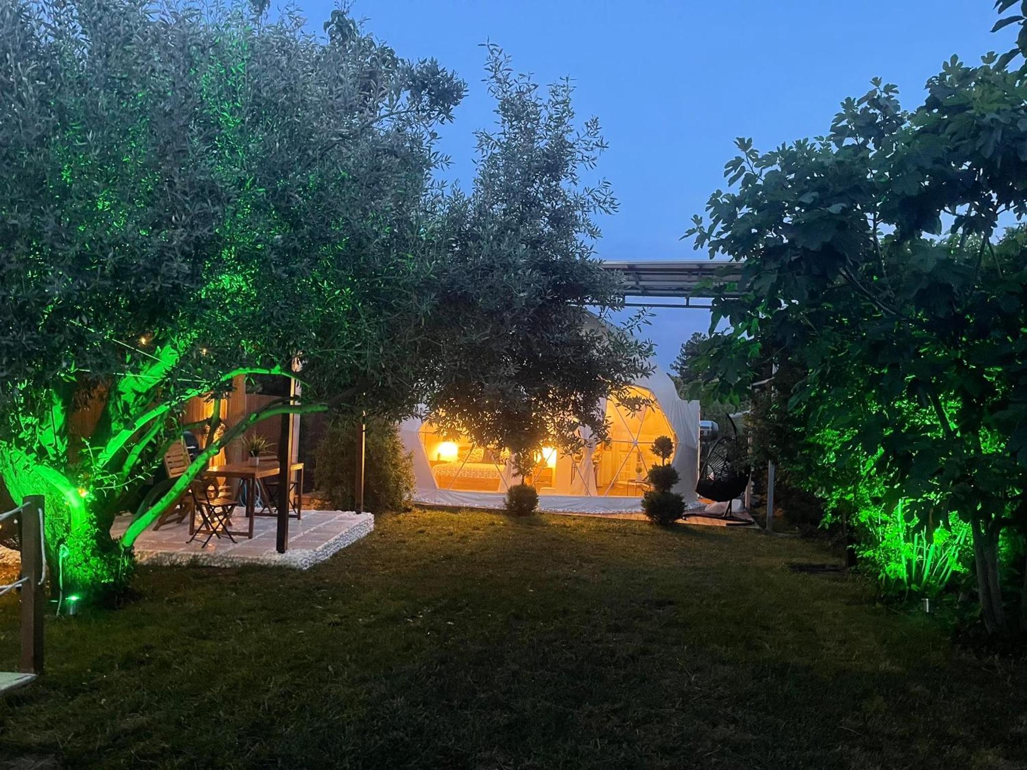 Ellie's Eco Private Glamping and Spa - Property Image 6