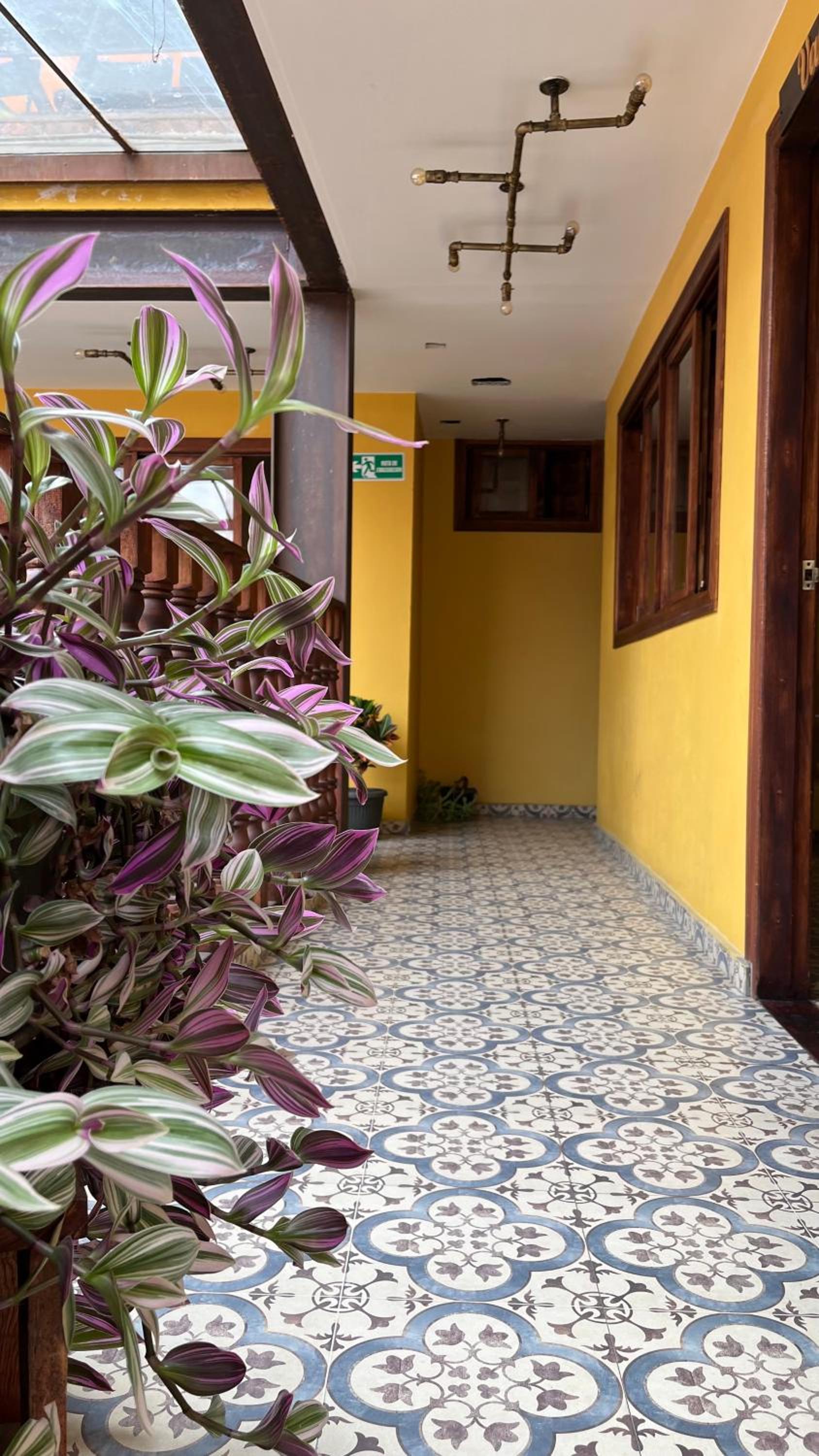 Hostal Casa Astromelia