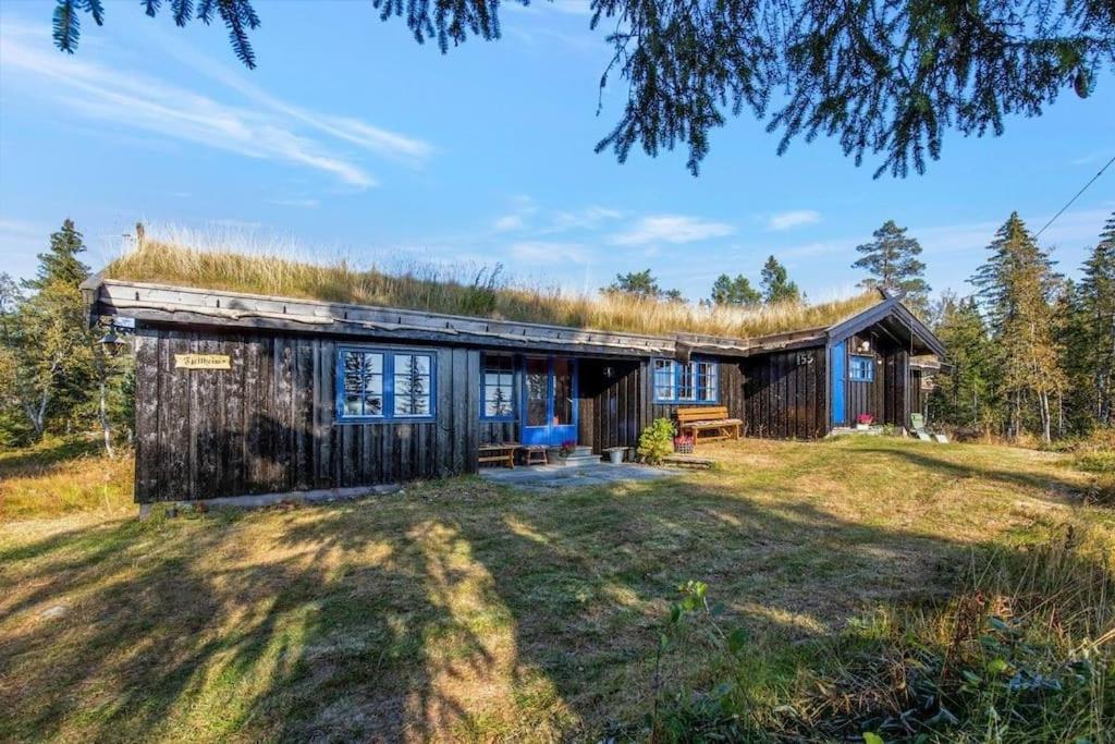 Mountainhome Norefjell view 5