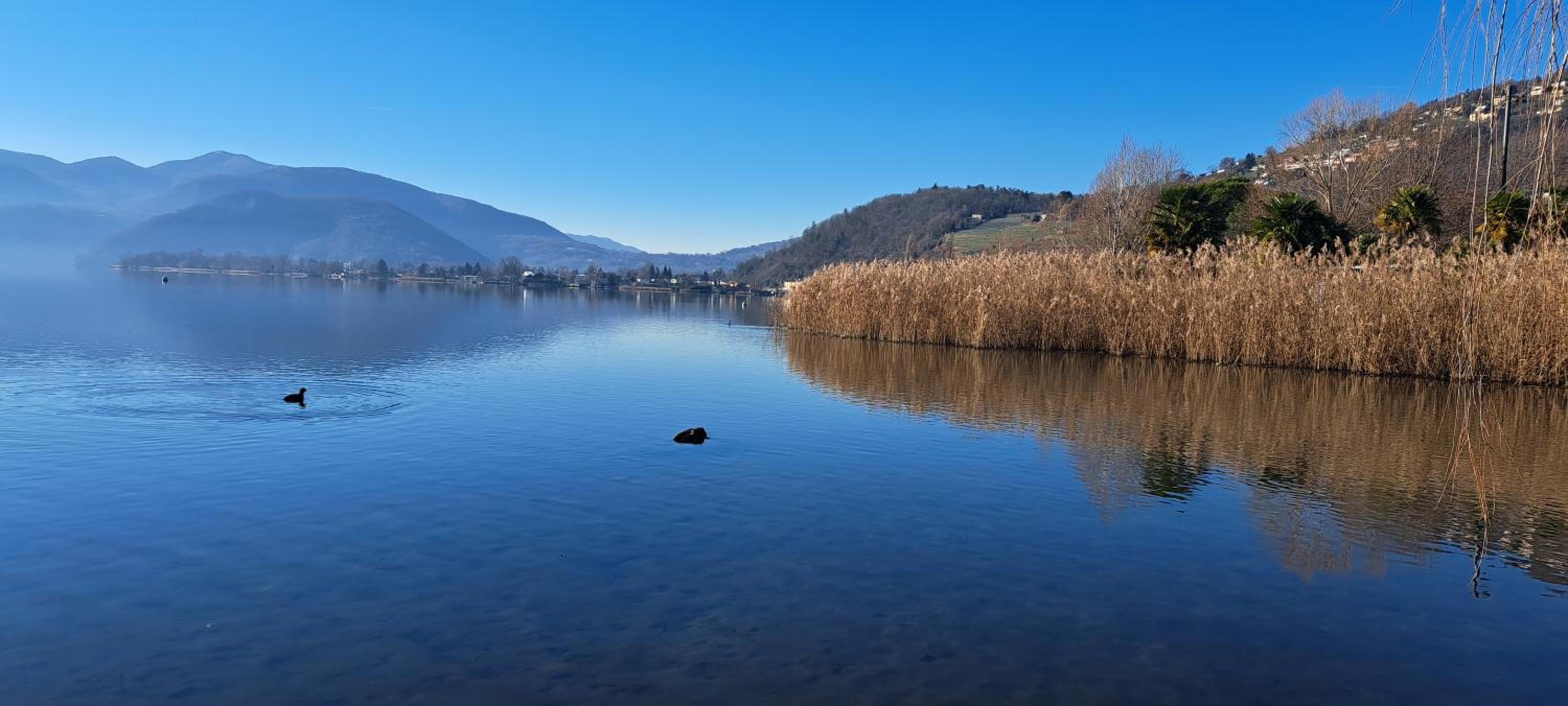 Appartamento La Torretta