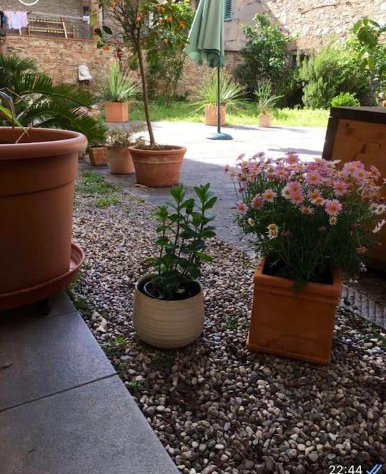 Loft Stazione Porta Serraglio