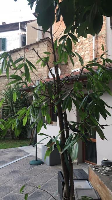 Loft Stazione Porta Serraglio