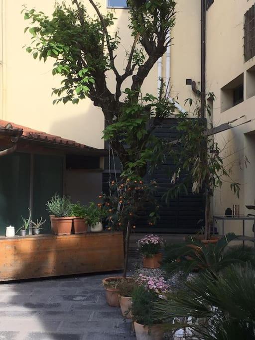 Loft Stazione Porta Serraglio
