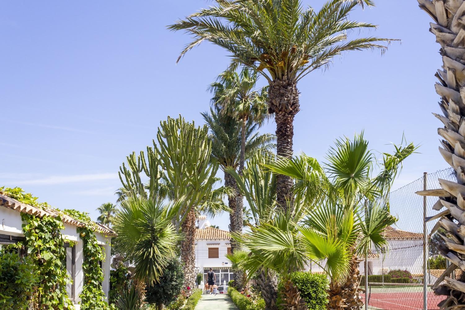 Bungalow Pink Palm beach