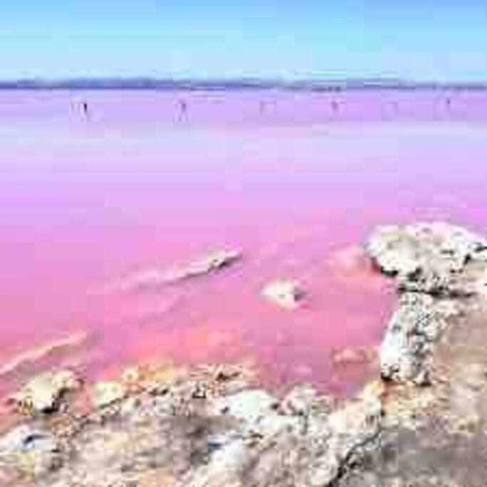 Apartment Pink Salt Lake