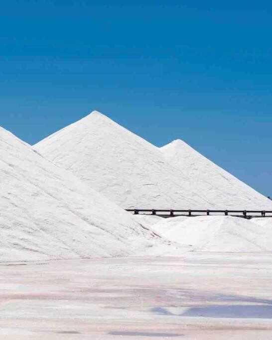 Apartment Pink Salt Lake