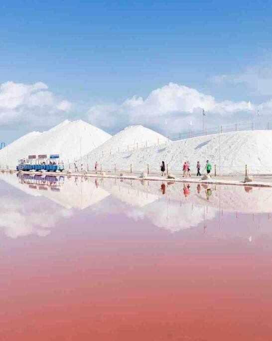 Apartment Pink Salt Lake