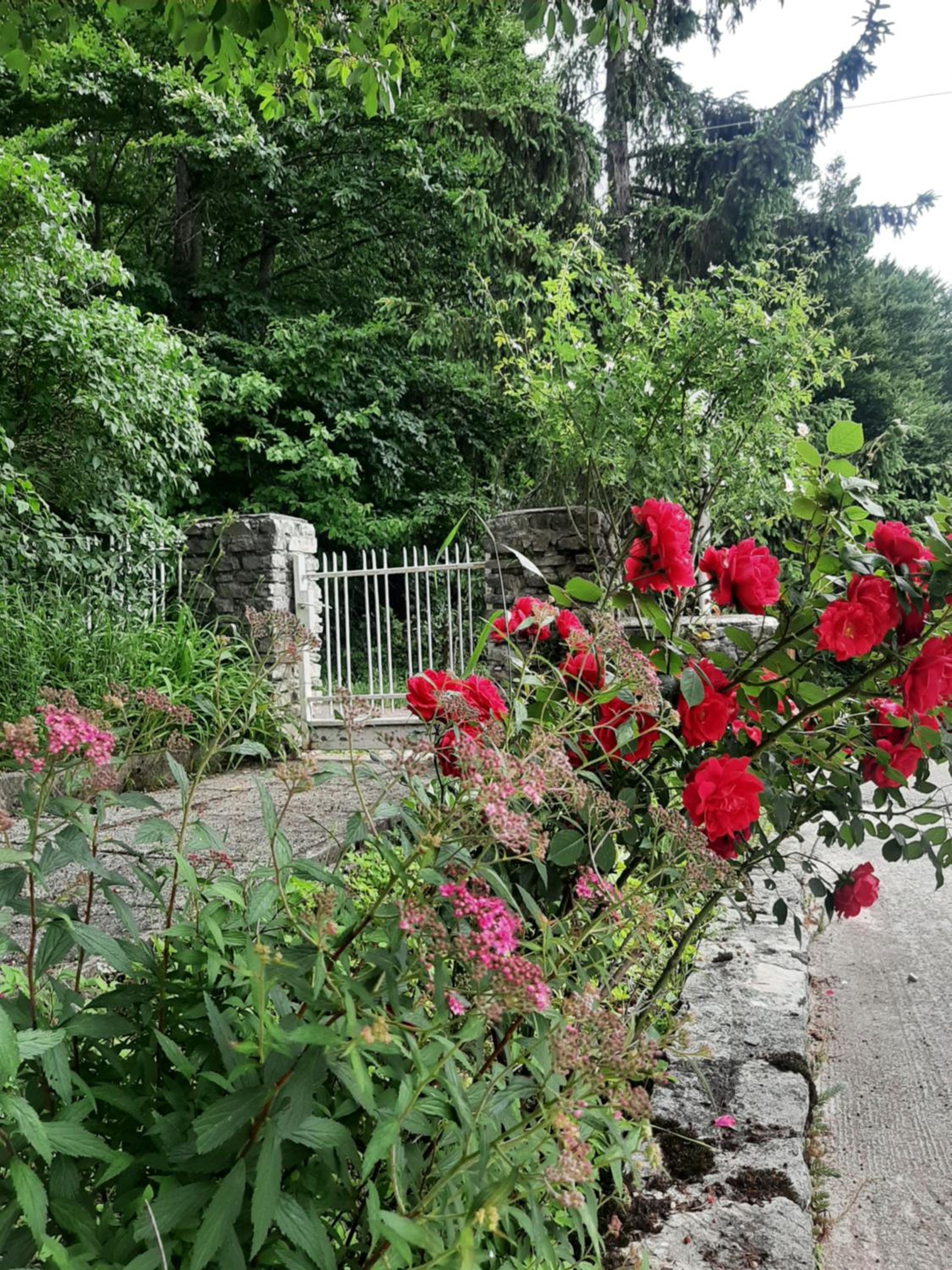 Photo 22